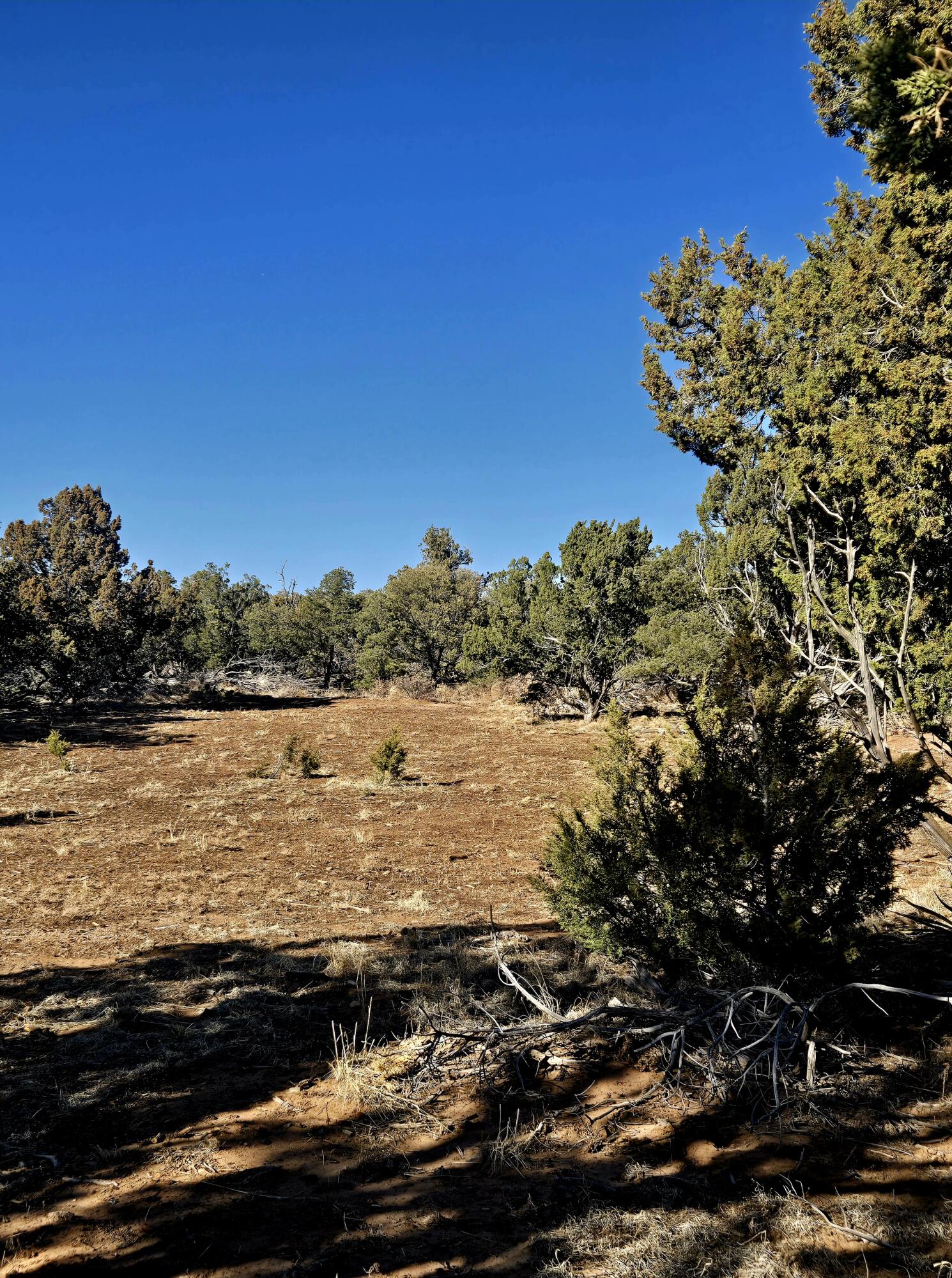 Photo 16 — Lot 6 Crow Bait Trail