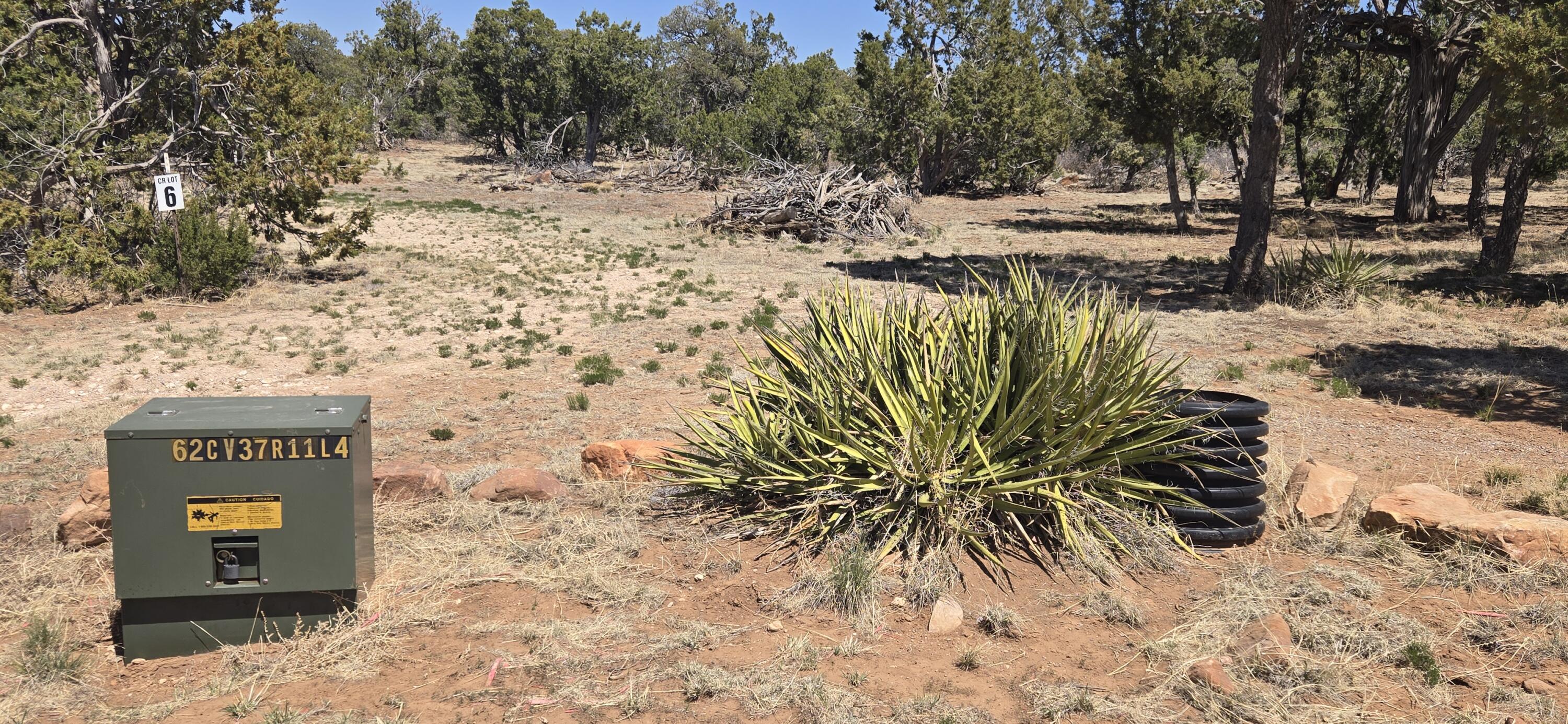Photo 17 — Lot 6 Crow Bait Trail