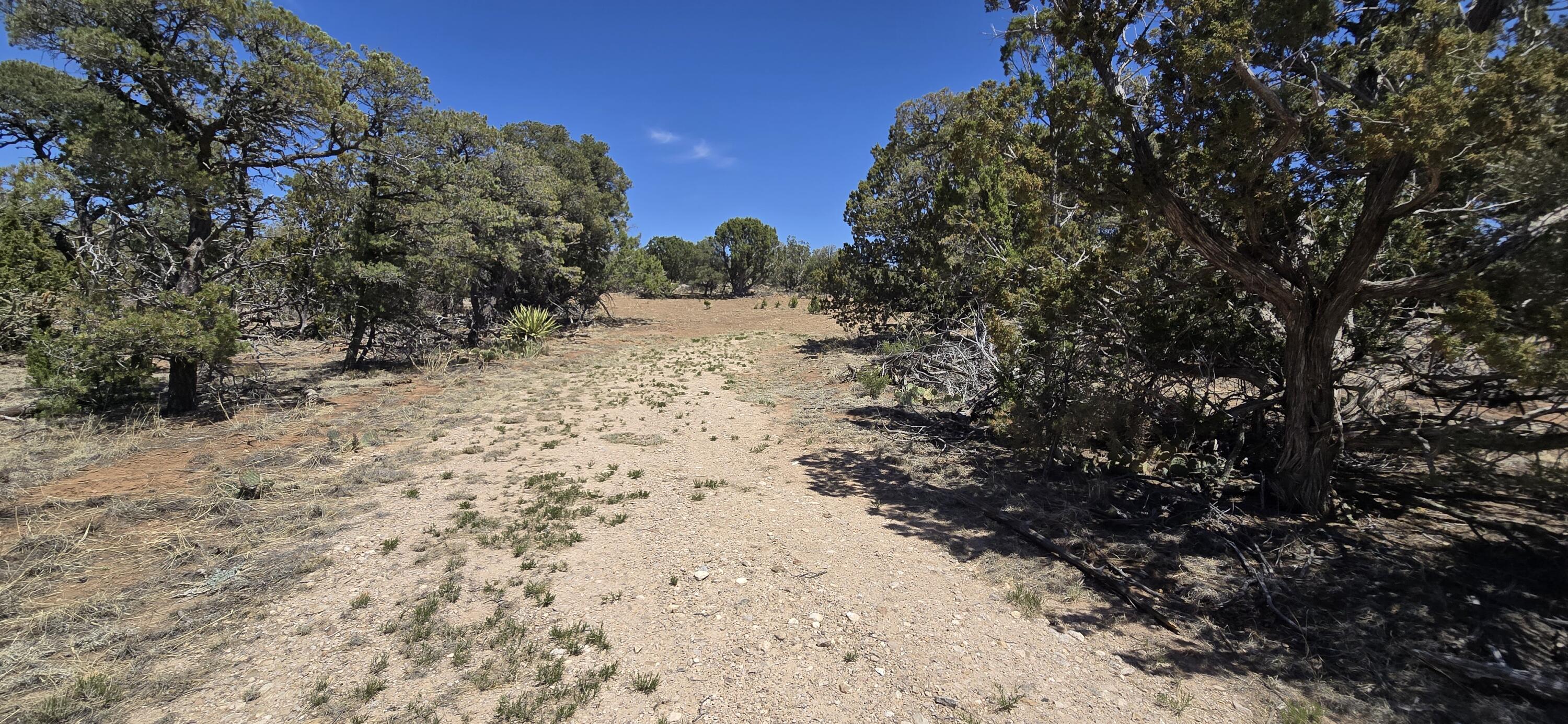 Photo 18 — Lot 6 Crow Bait Trail