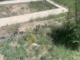 Photo 2 — 3 MARDAN Lane