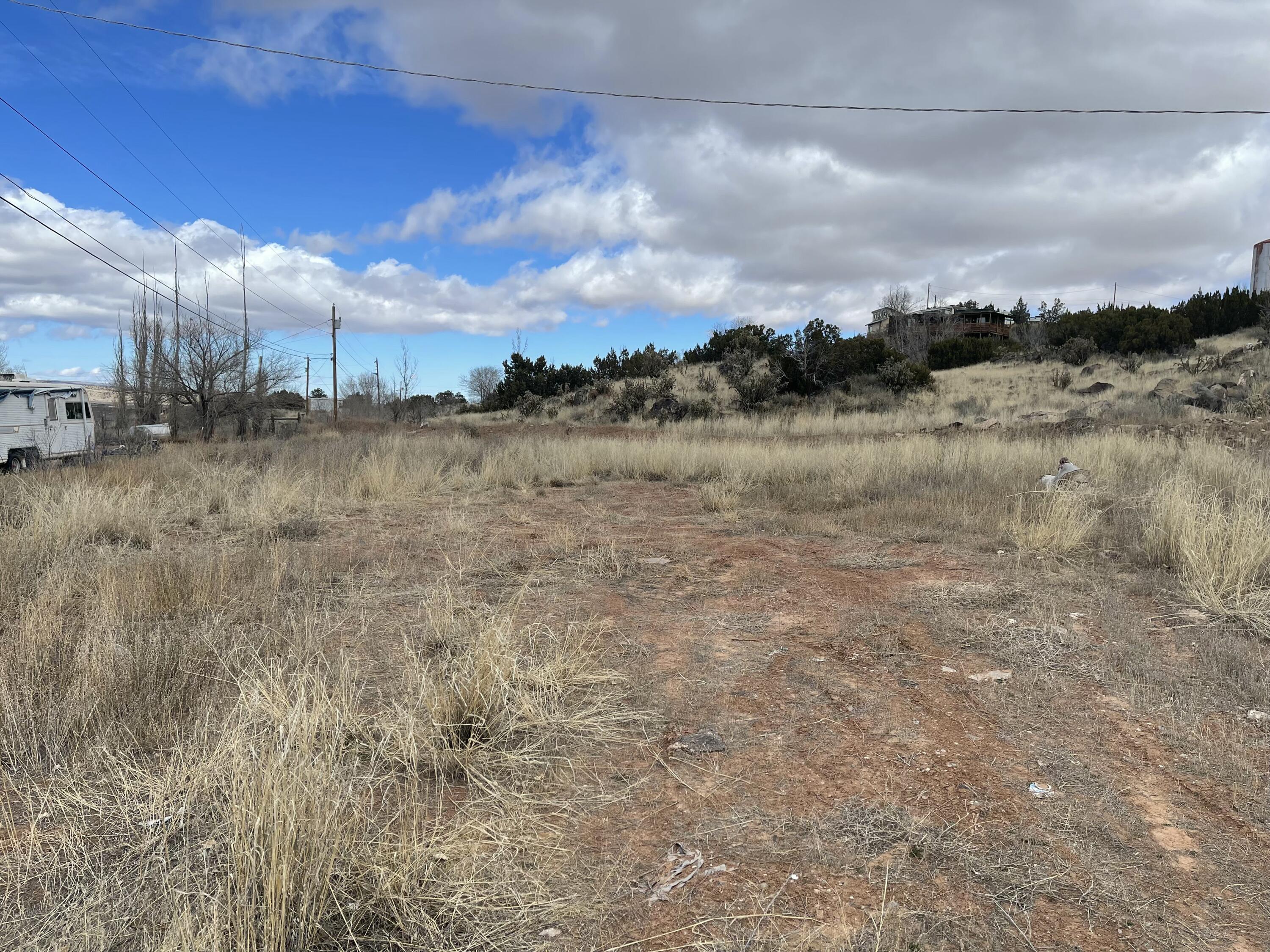 Photo 7 —  FOREST PARK Road