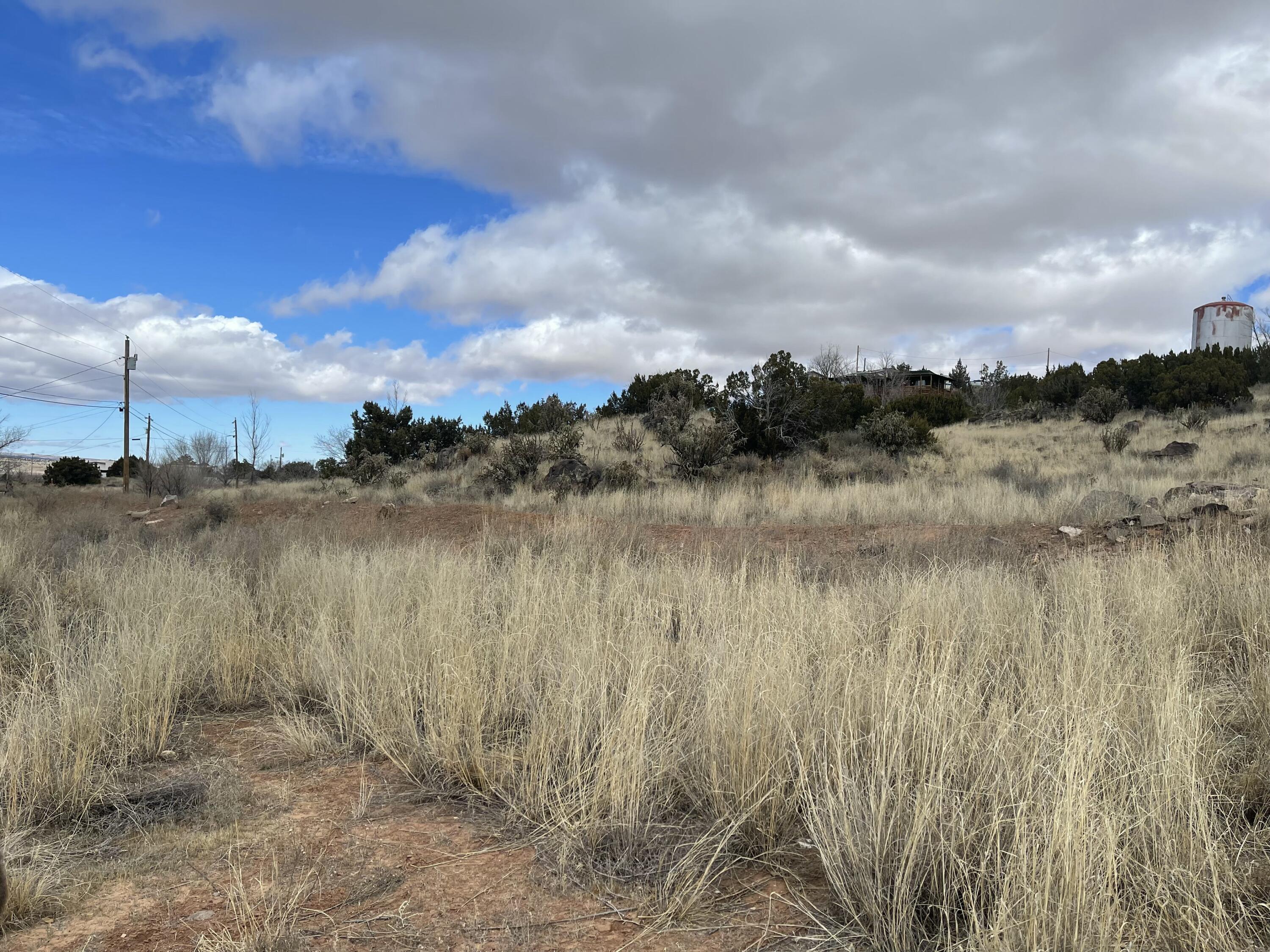 Photo 6 —  FOREST PARK Road