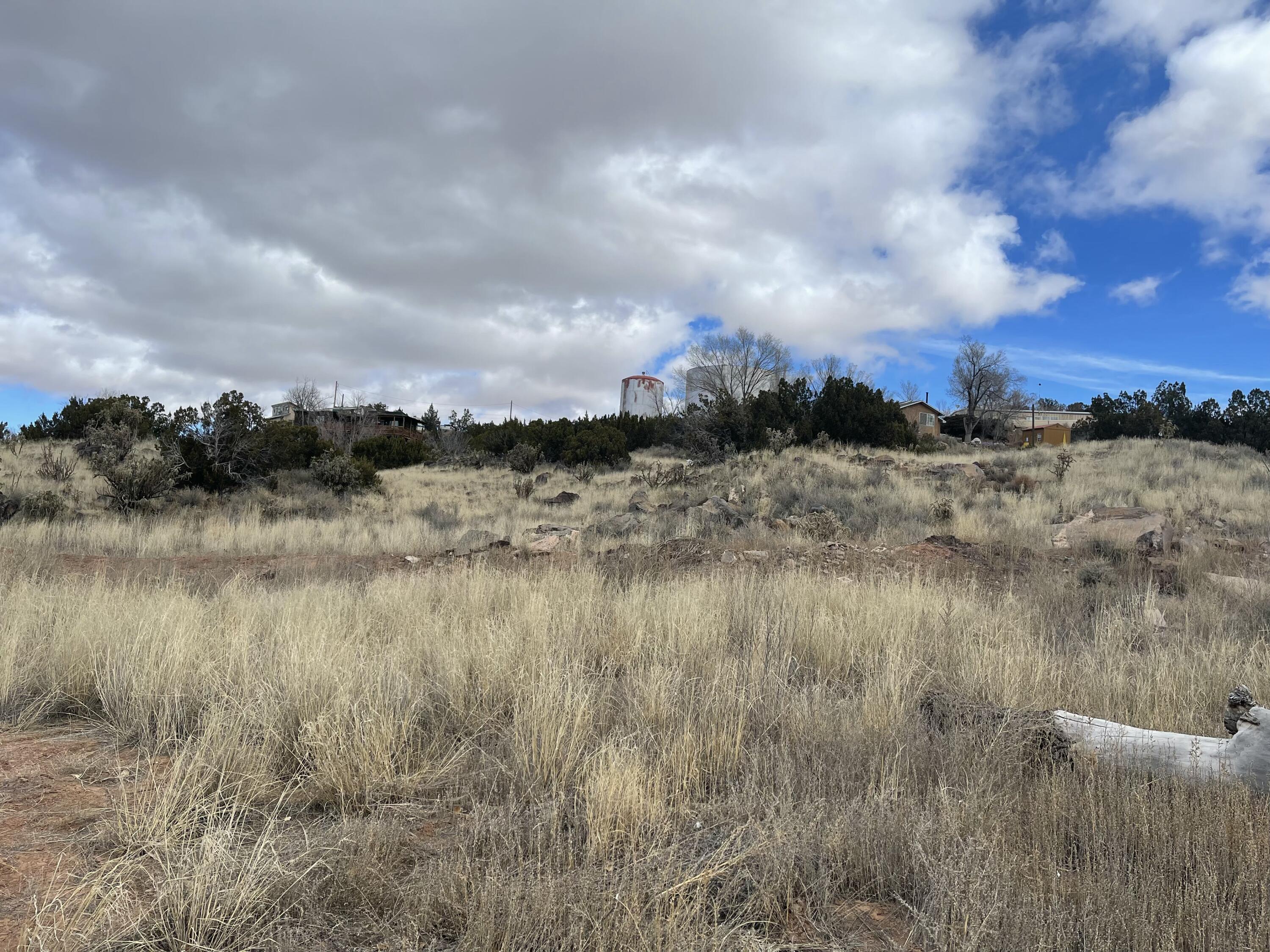 Photo 5 —  FOREST PARK Road