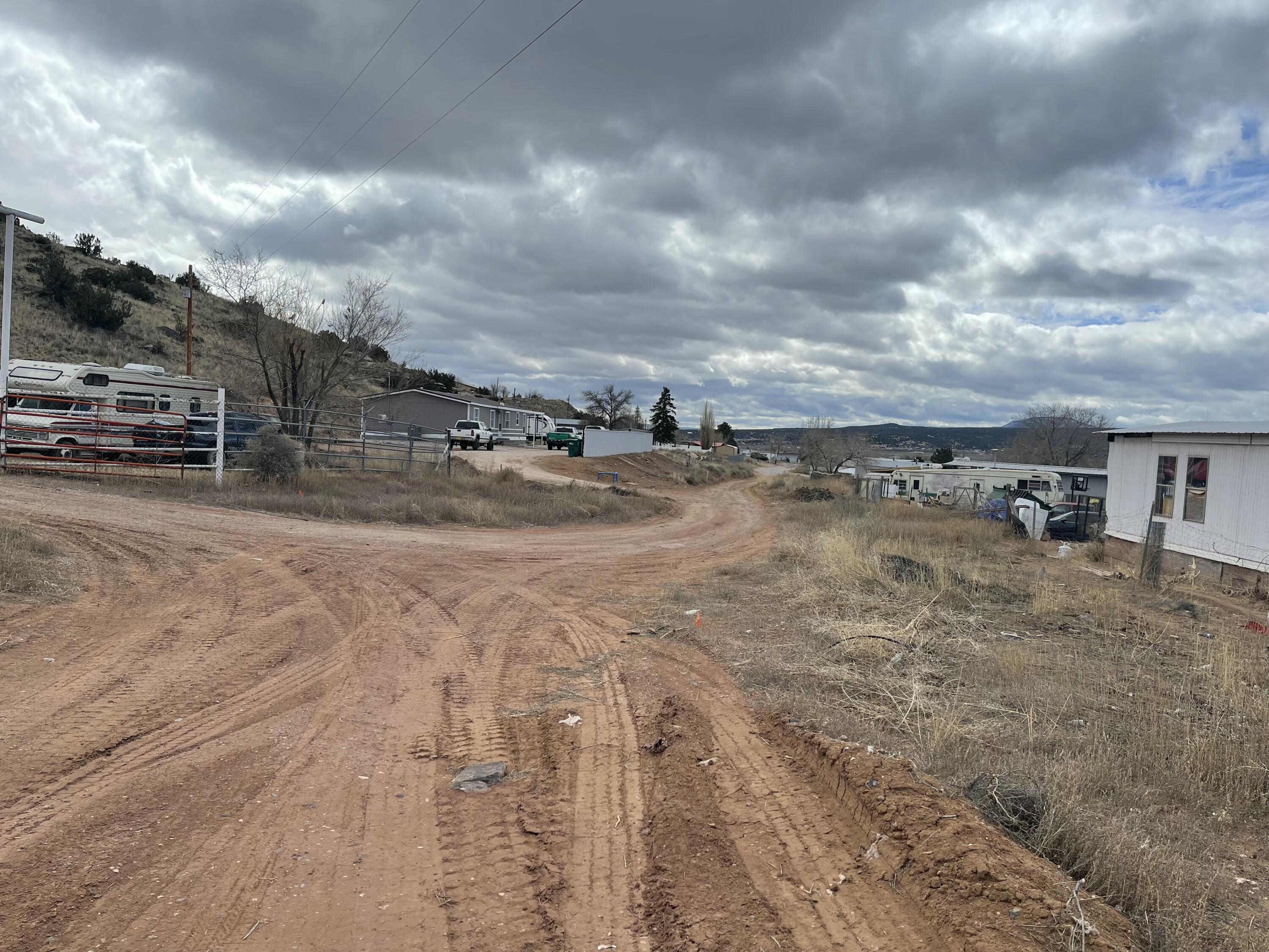 Photo 4 —  FOREST PARK Road