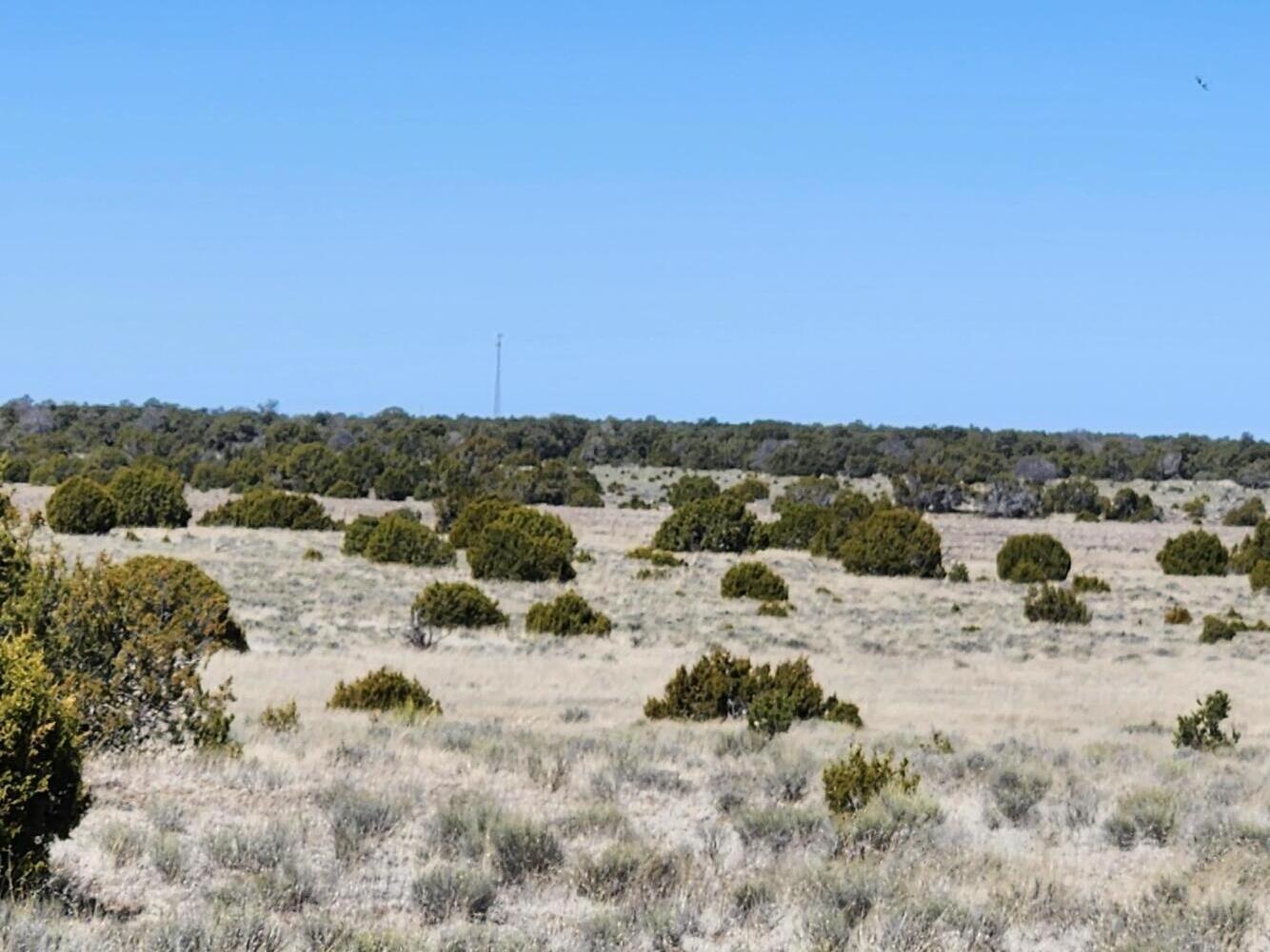 Photo 5 — Lot 18 Skyview Ranch 18