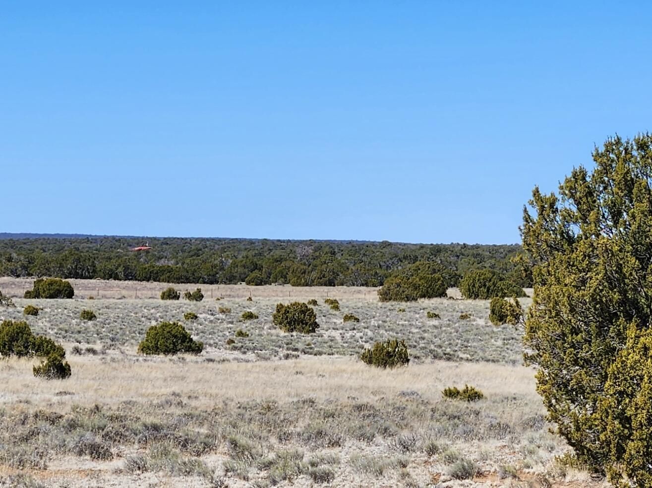 Photo 4 — Lot 18 Skyview Ranch 18