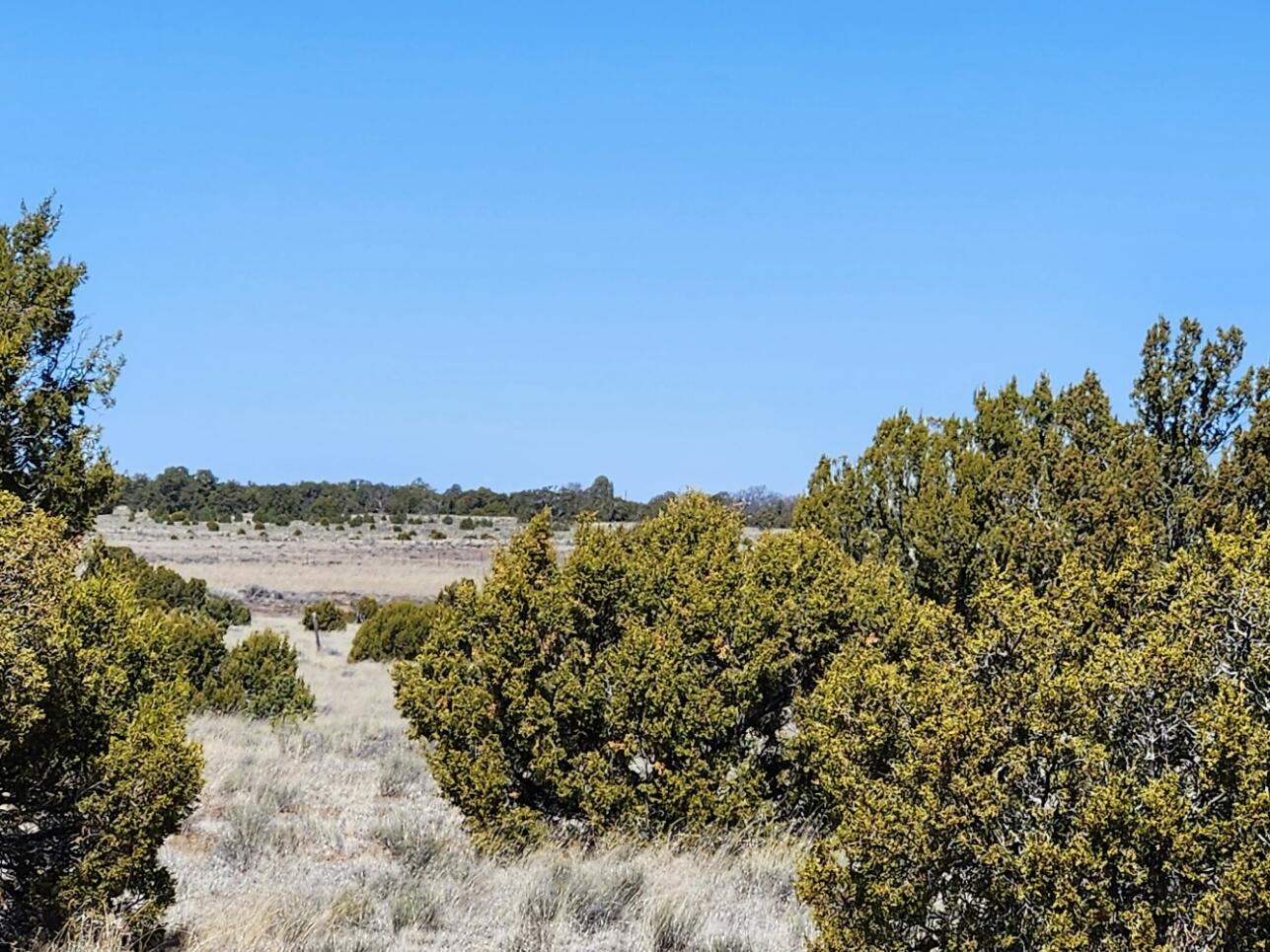 Photo 3 — Lot 18 Skyview Ranch 18