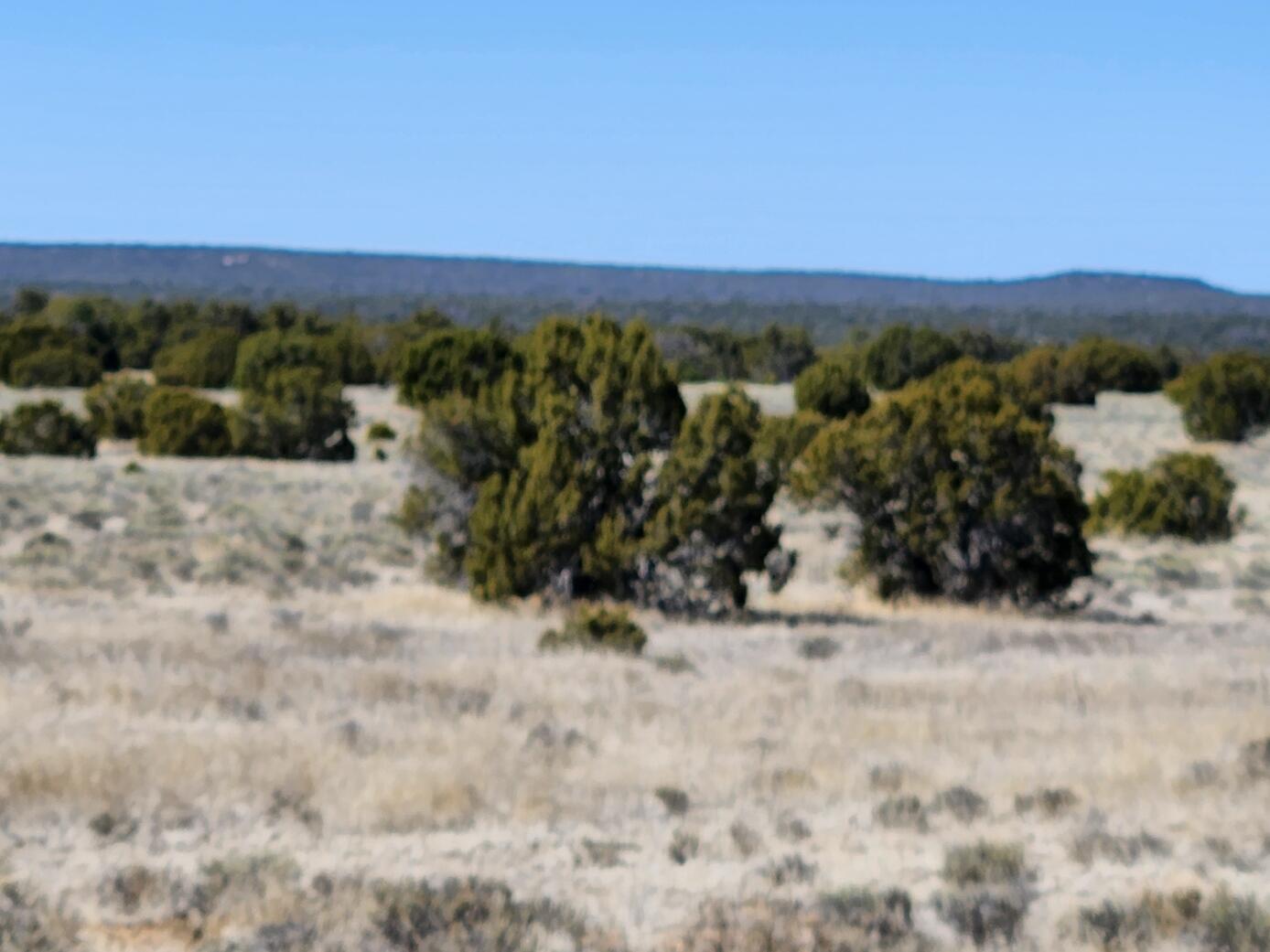 Photo 2 — Lot 18 Skyview Ranch 18