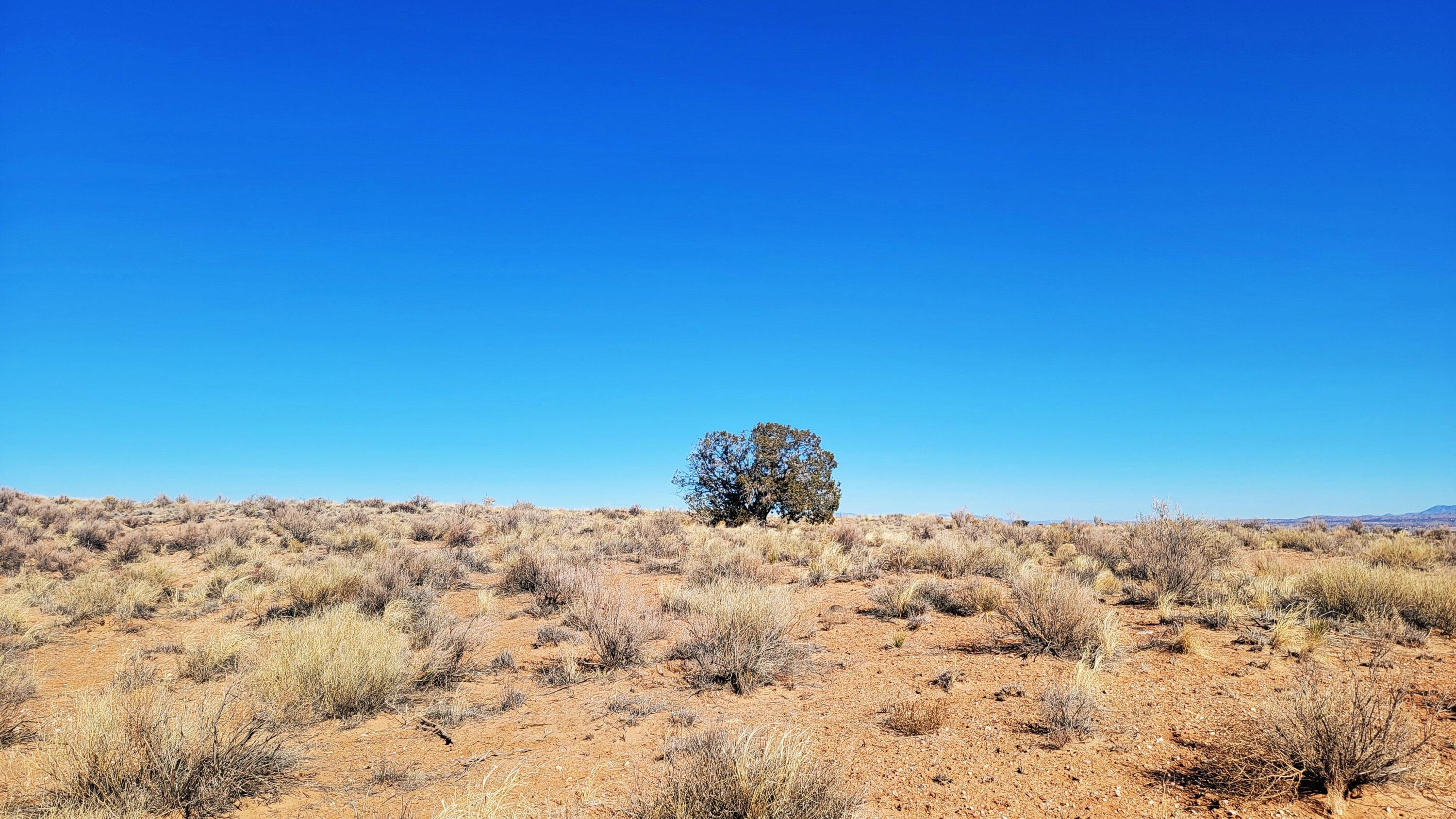 Photo 11 —  Earth Drive NE