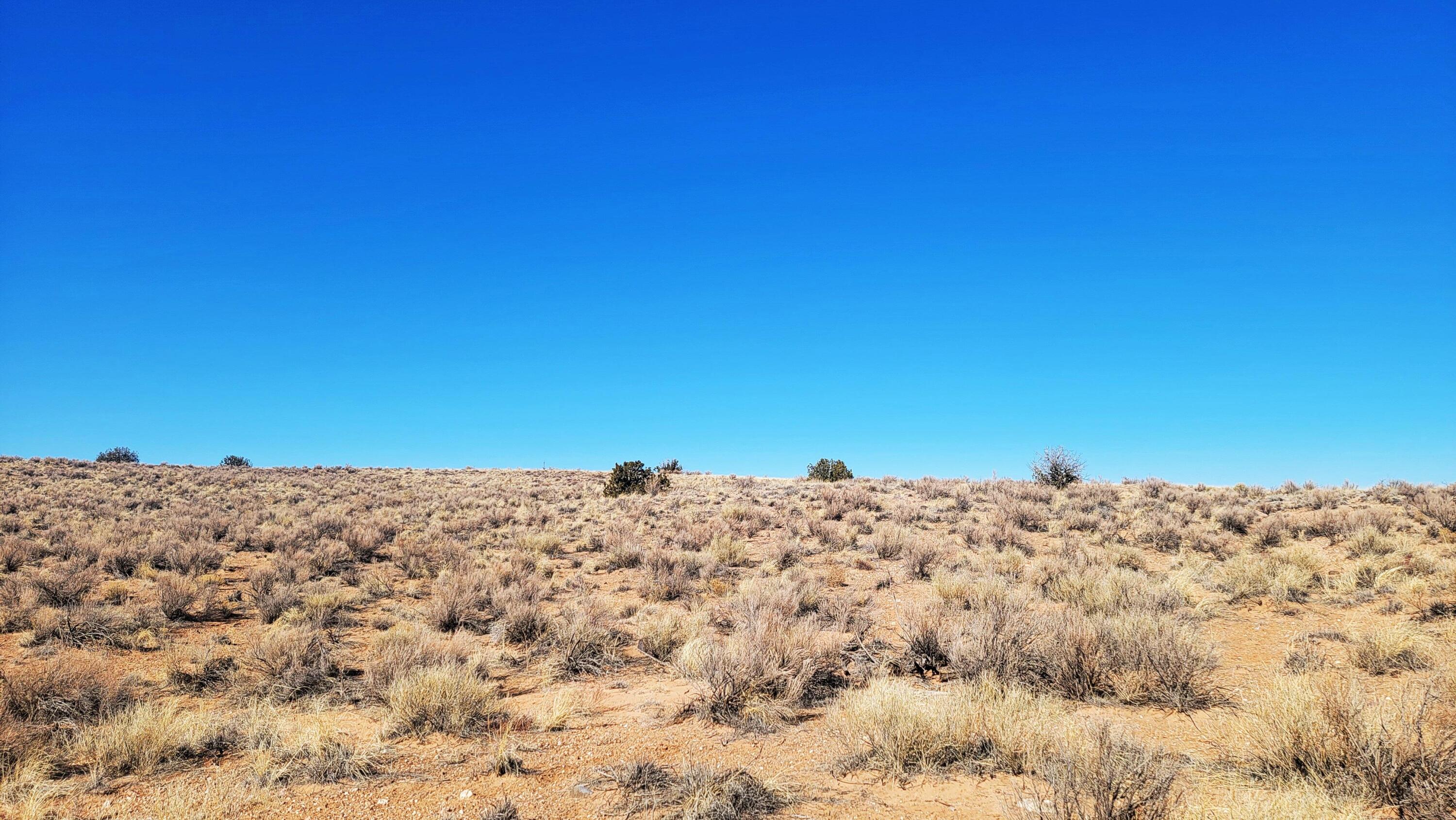 Photo 10 —  Earth Drive NE