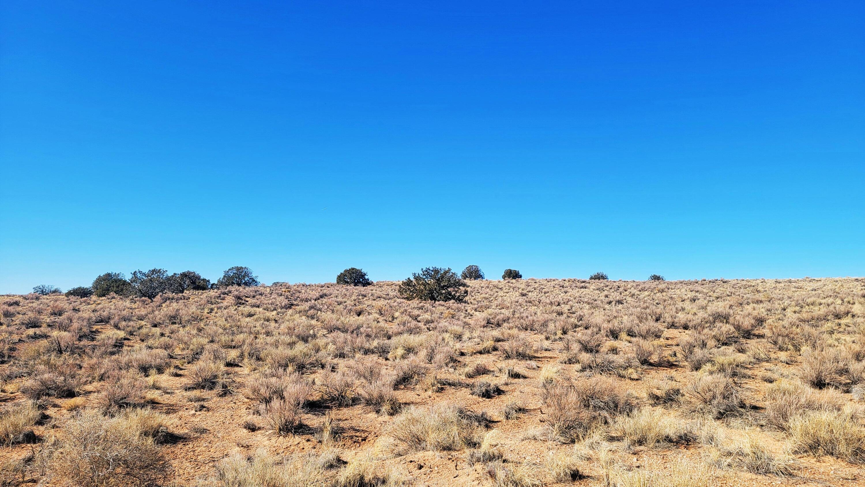 Photo 9 —  Earth Drive NE