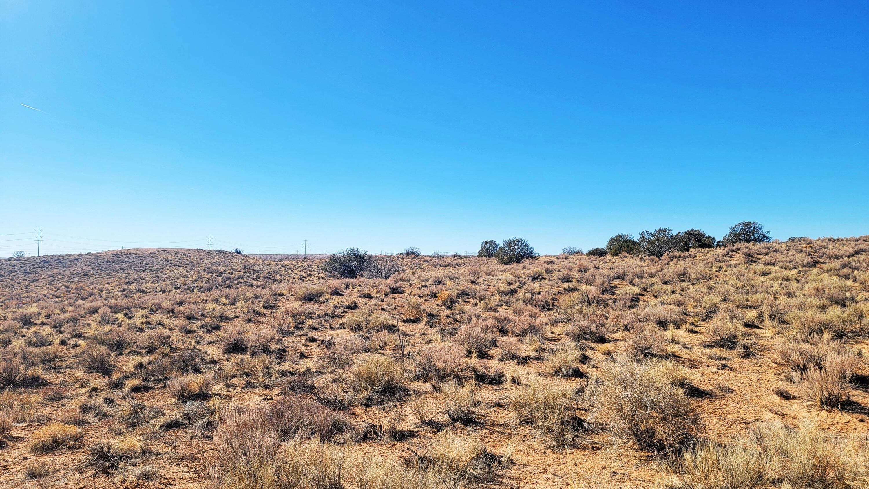 Photo 8 —  Earth Drive NE