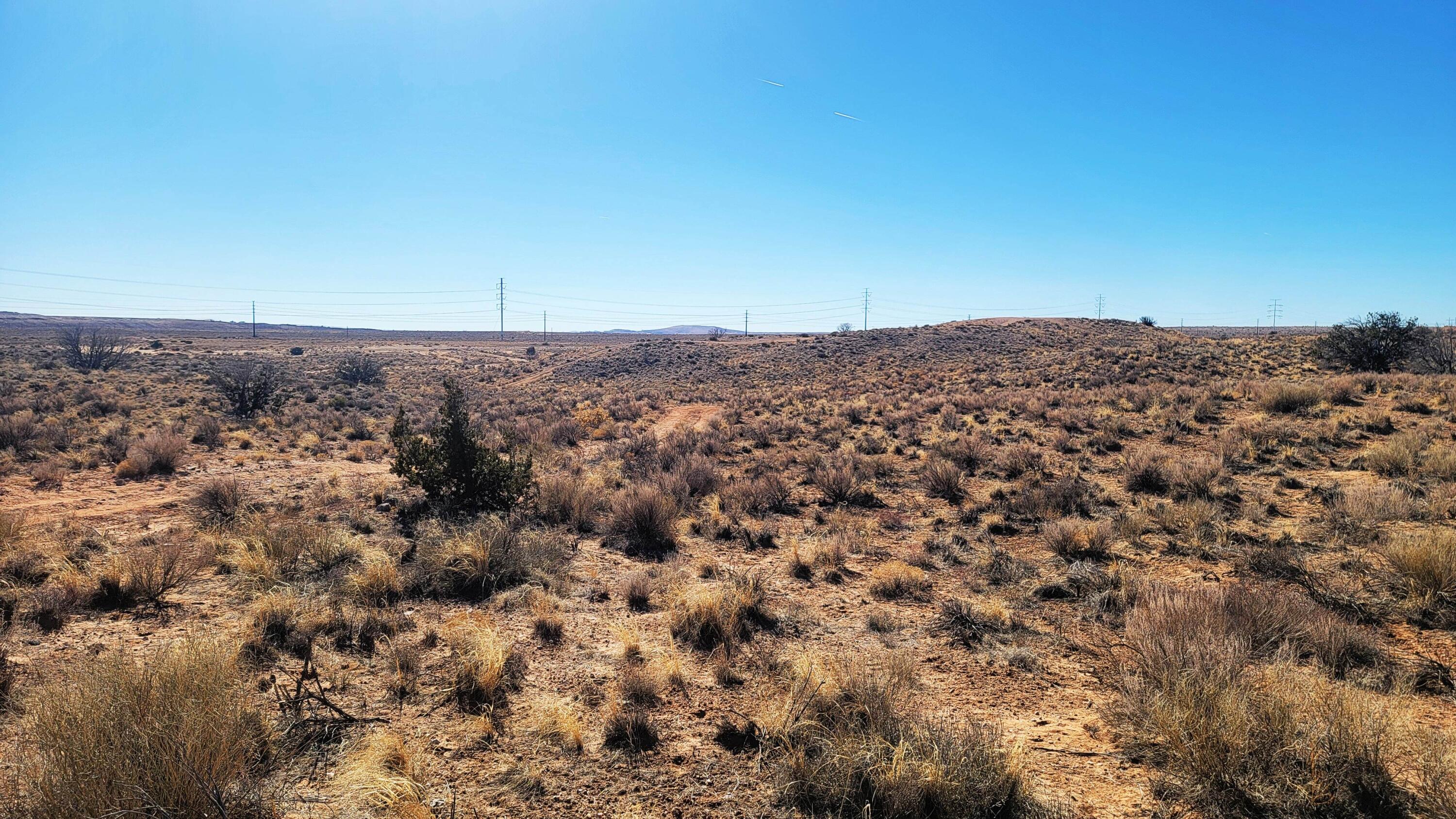 Photo 7 —  Earth Drive NE