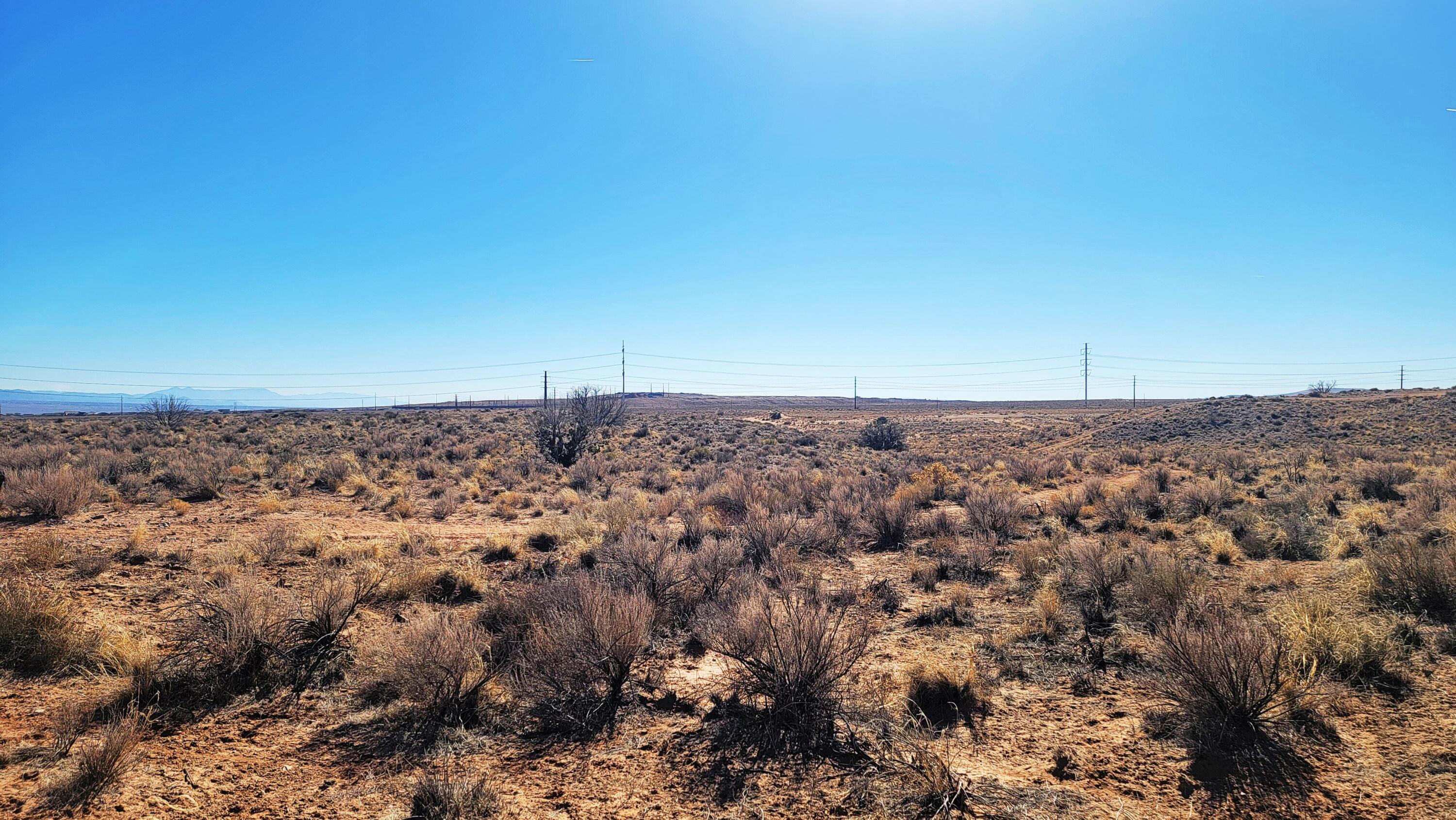 Photo 6 —  Earth Drive NE
