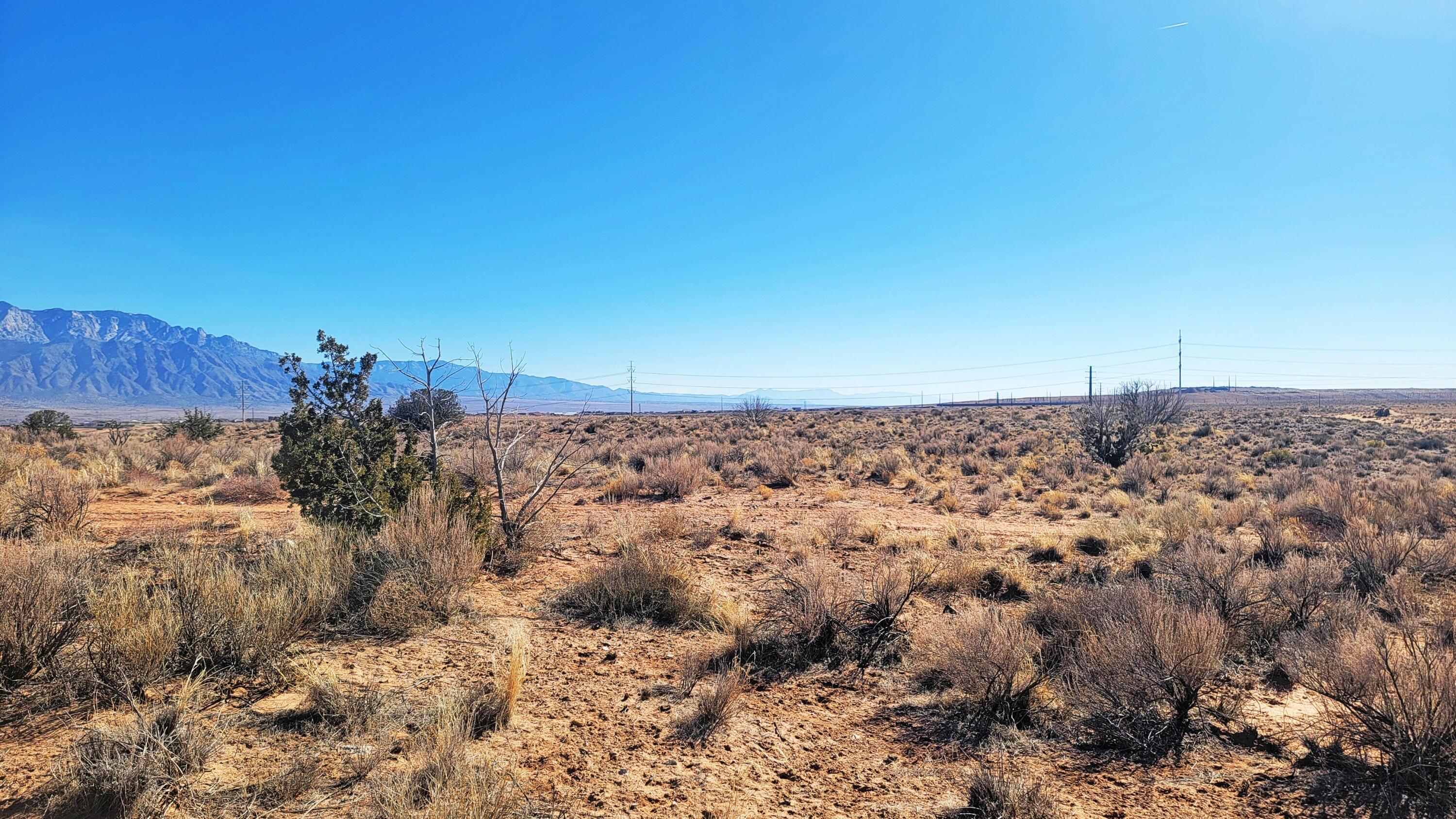 Photo 5 —  Earth Drive NE