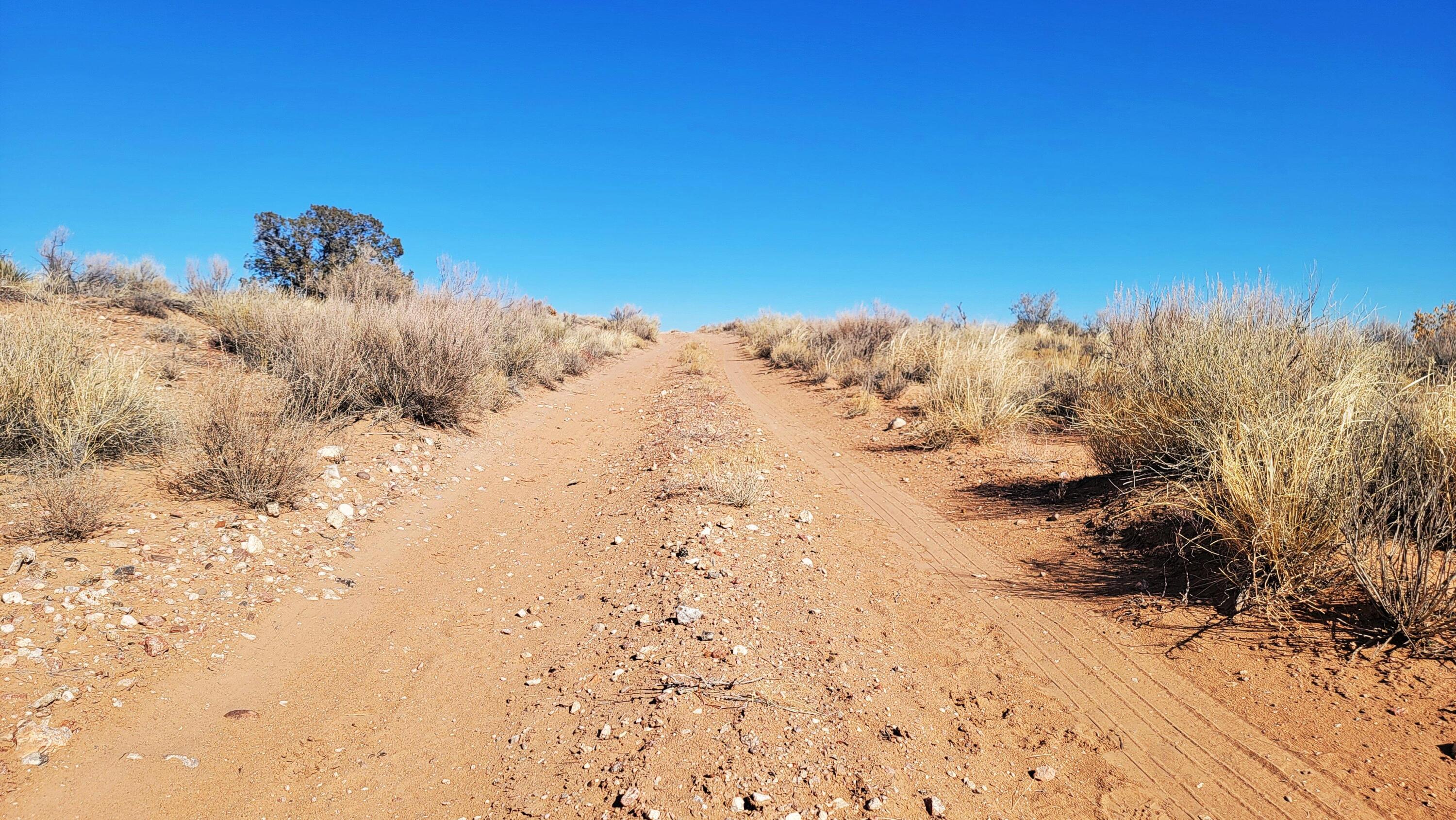 Photo 4 —  Earth Drive NE