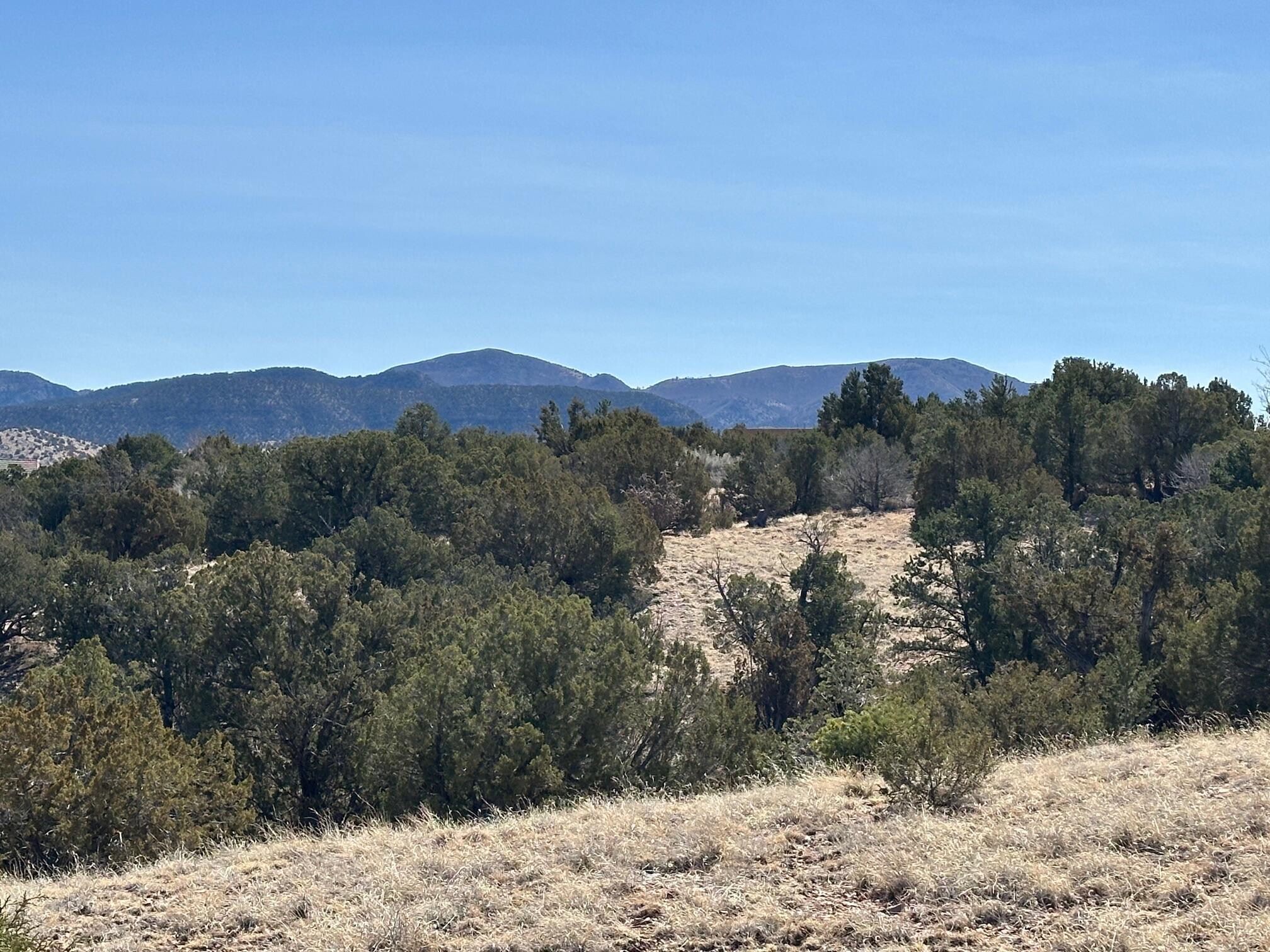 Photo 20 — 3 Old Rail Pass Trail