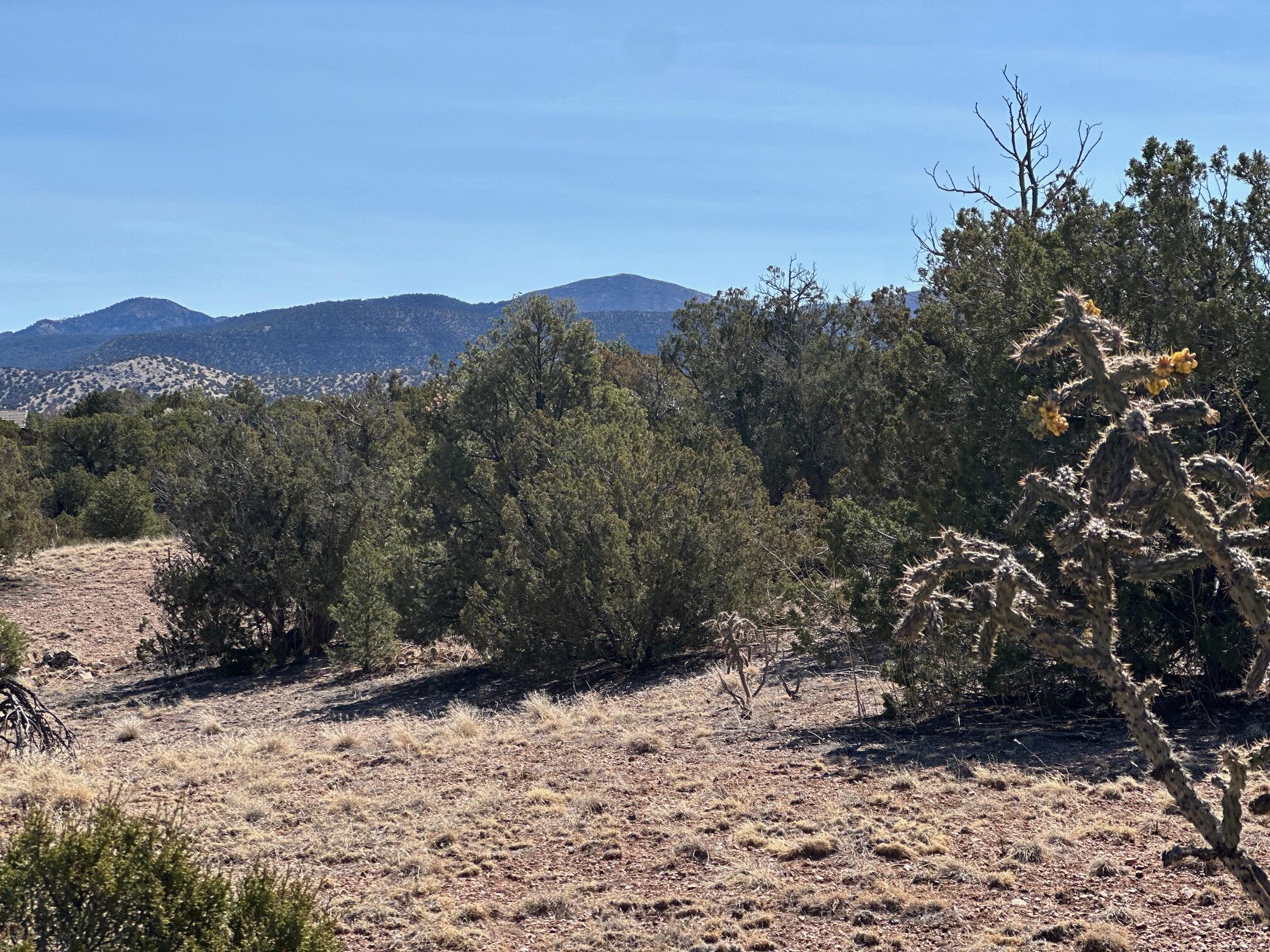 Photo 9 — 3 Old Rail Pass Trail