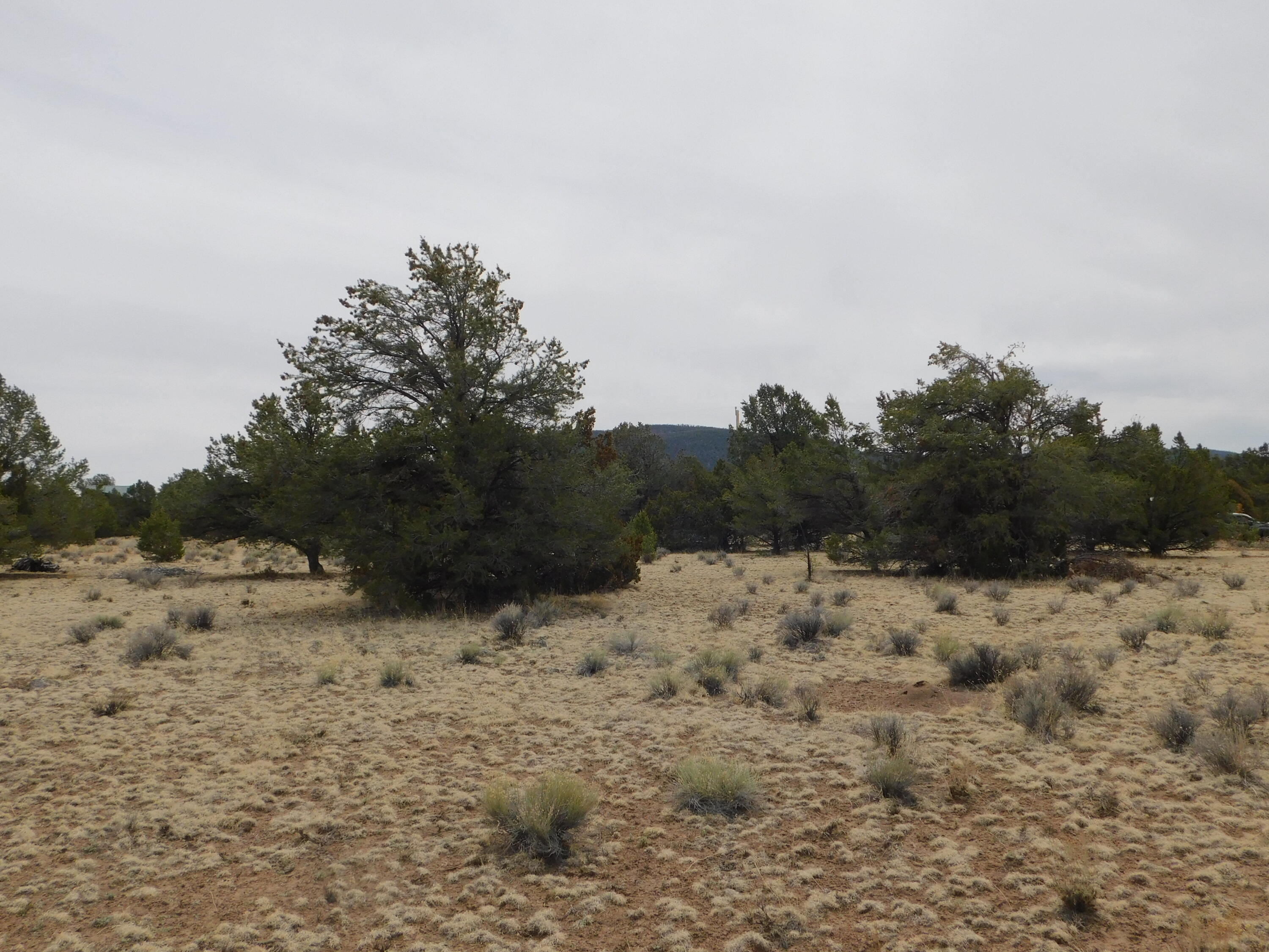 Photo 11 —  GILA DRIVE