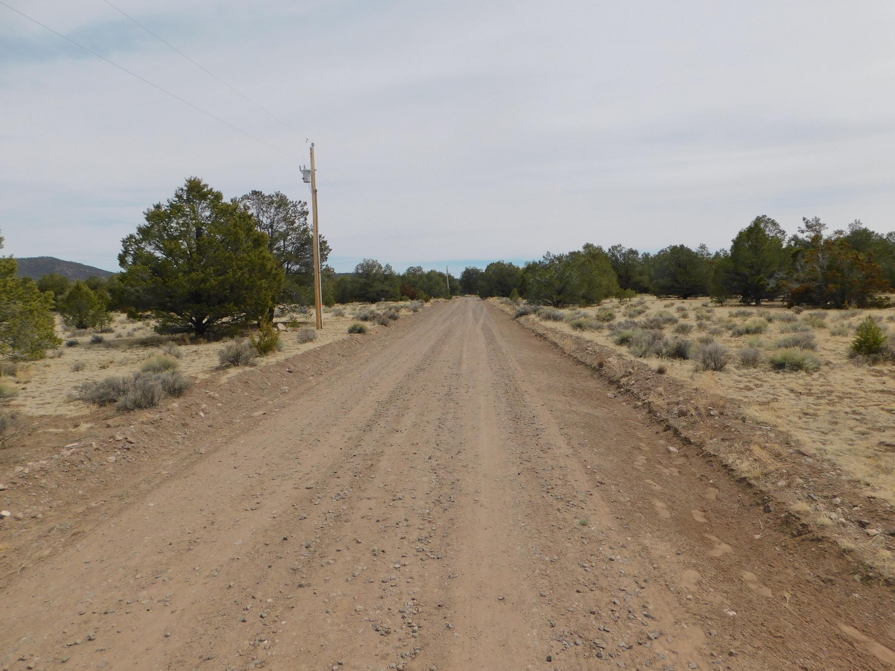 Photo 2 —  GILA DRIVE