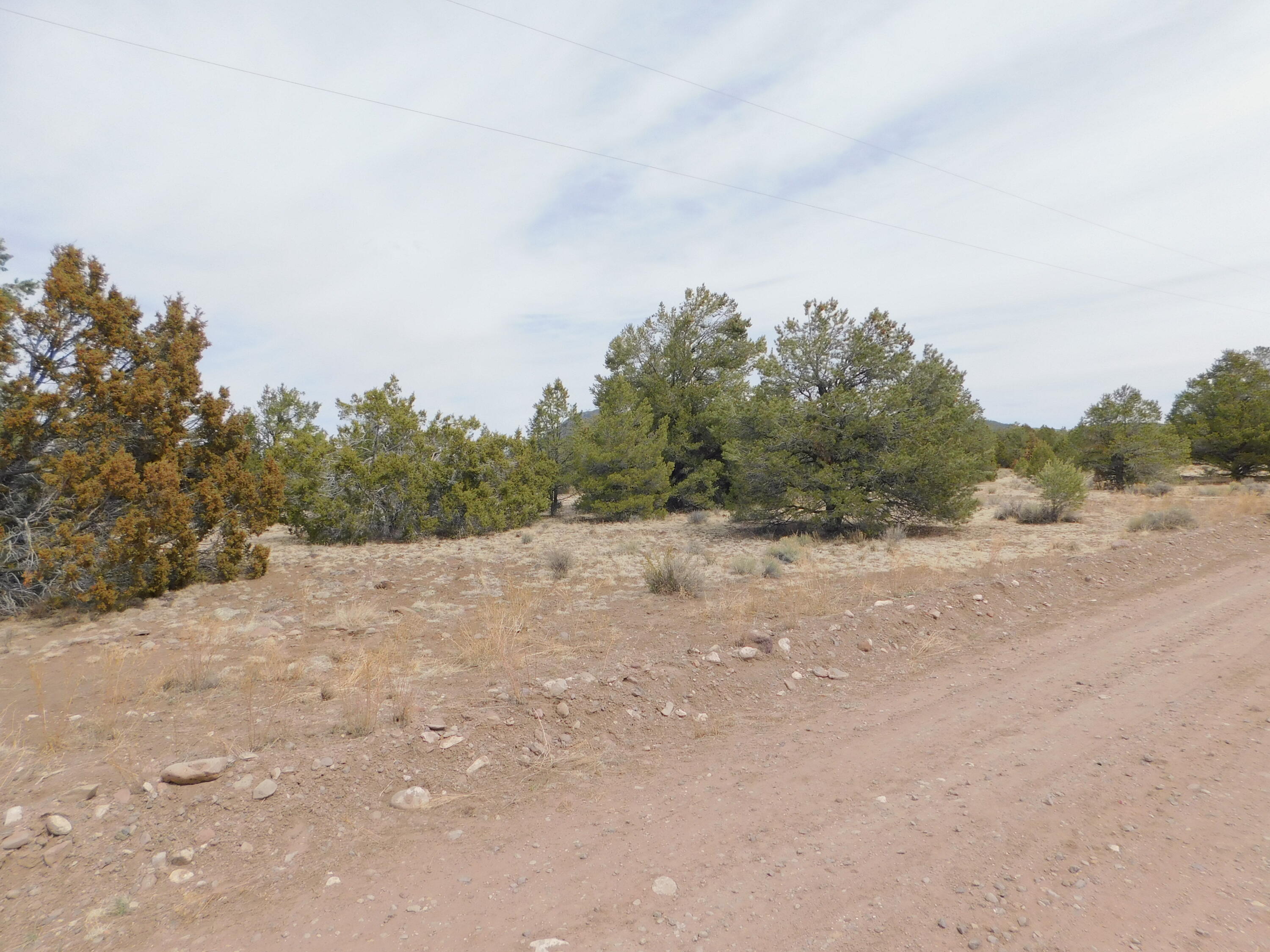 Photo 3 —  GILA DRIVE
