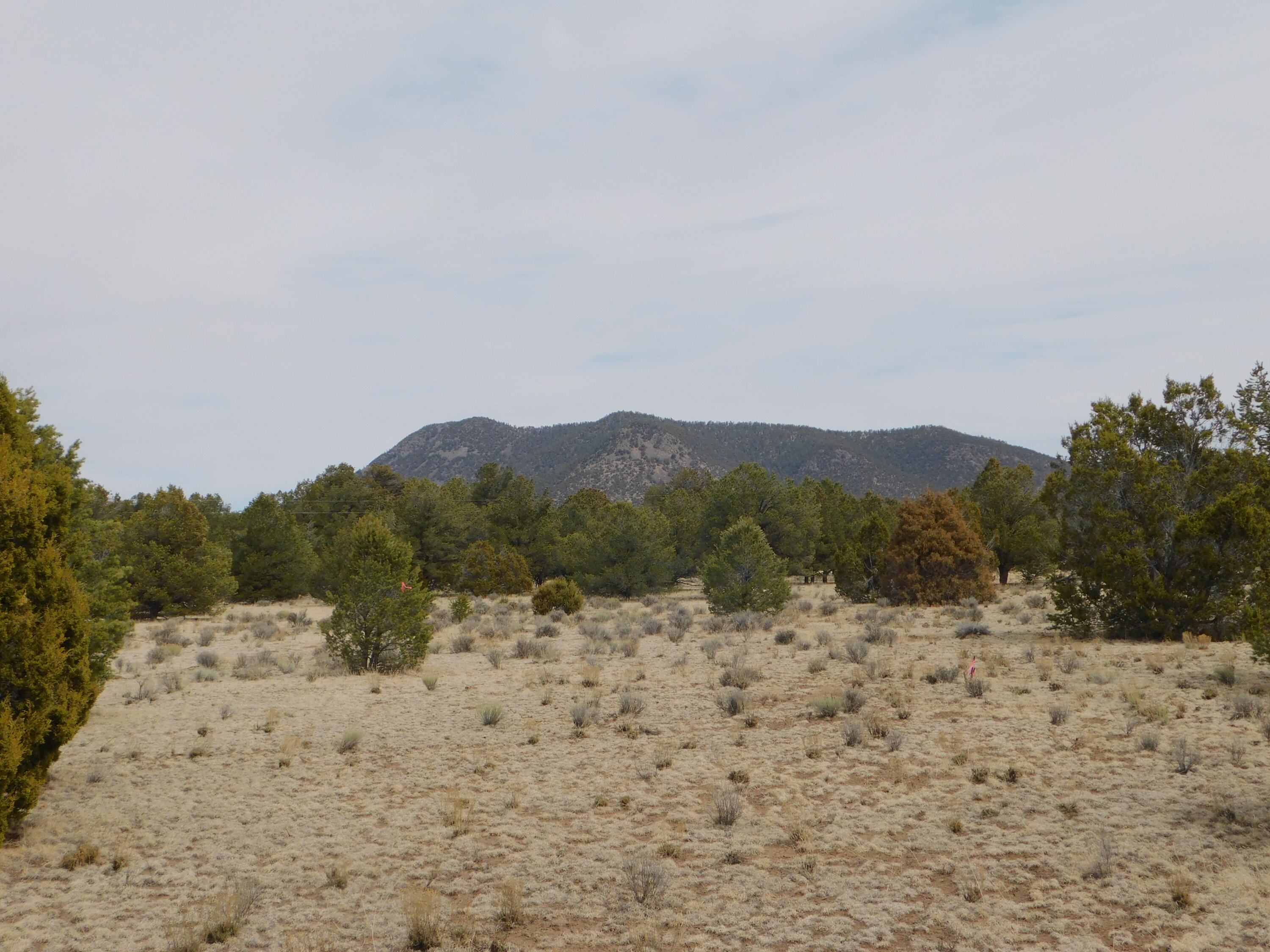 Photo 4 —  GILA DRIVE