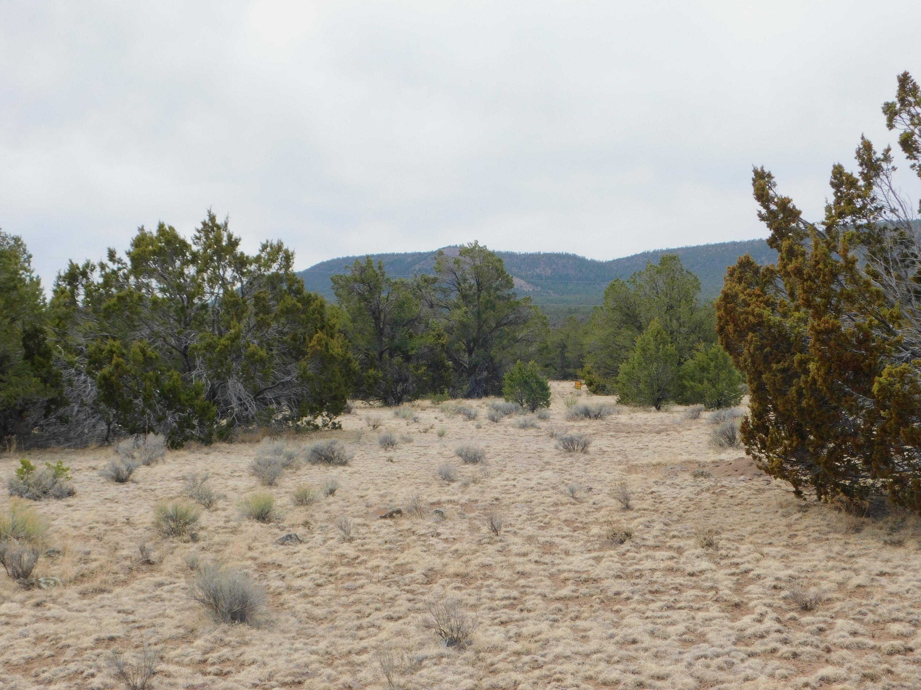 Photo 5 —  GILA DRIVE