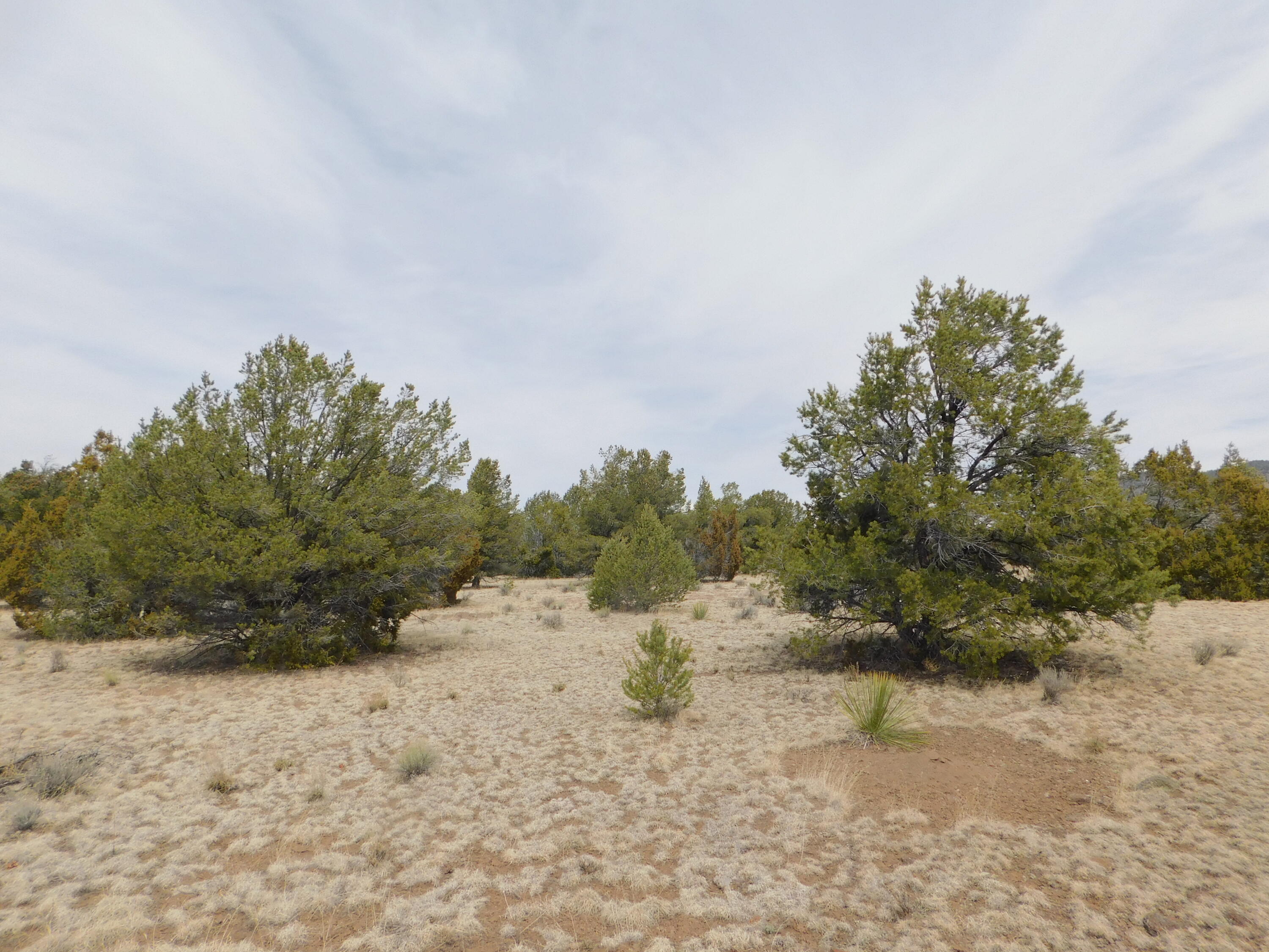 Photo 7 —  GILA DRIVE