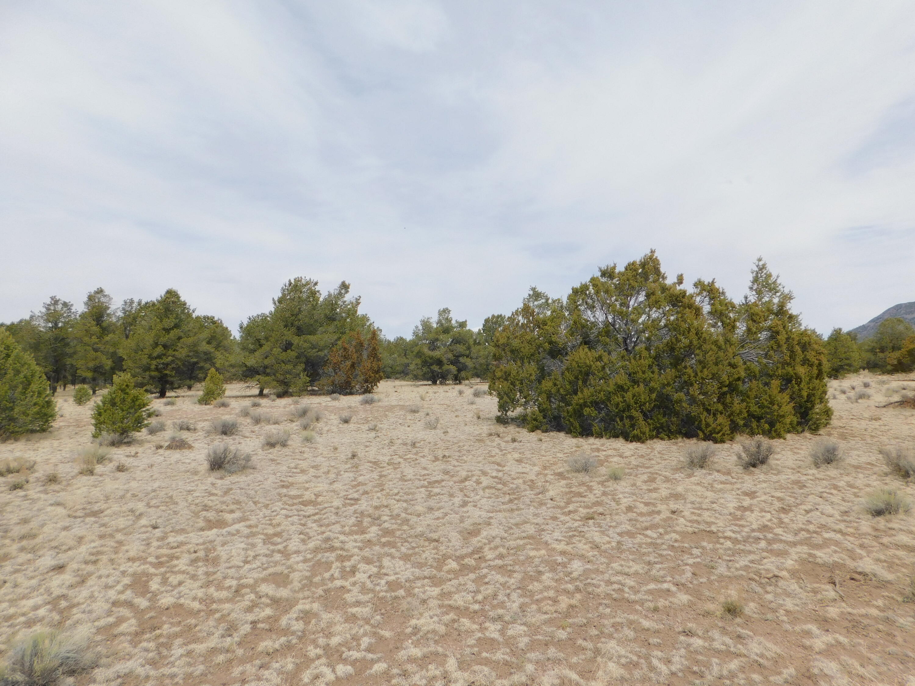 Photo 8 —  GILA DRIVE