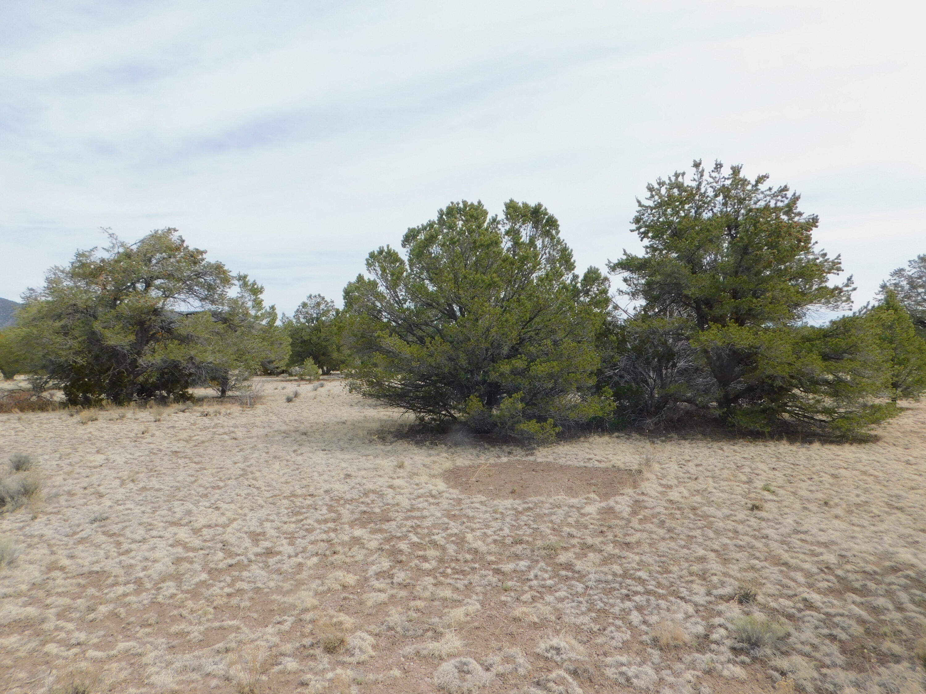 Photo 9 —  GILA DRIVE