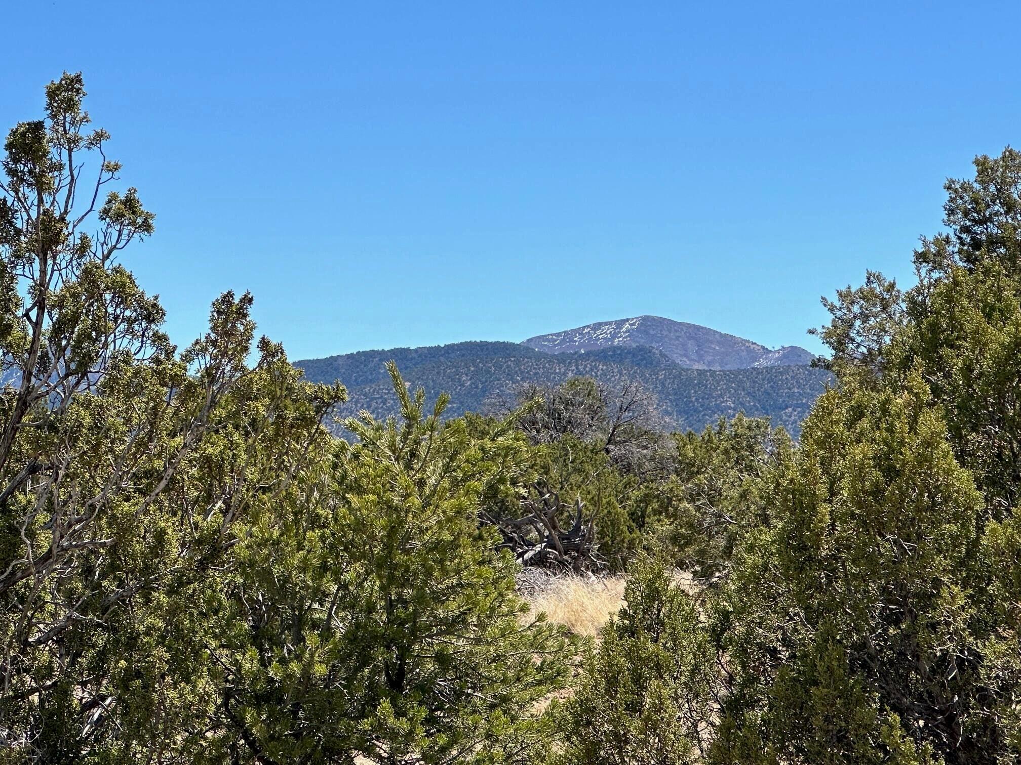 Photo 7 — 50 Turquoise Drive