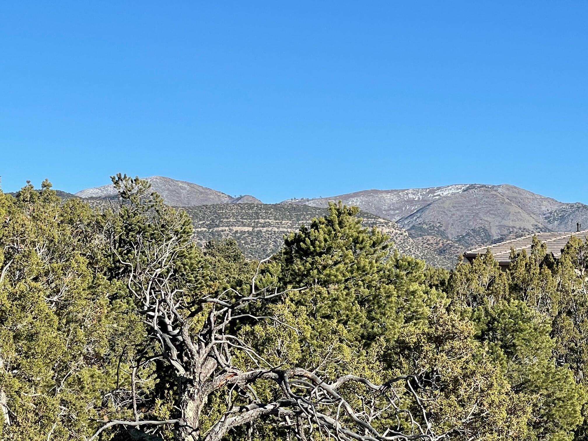 Photo 8 — 50 Turquoise Drive