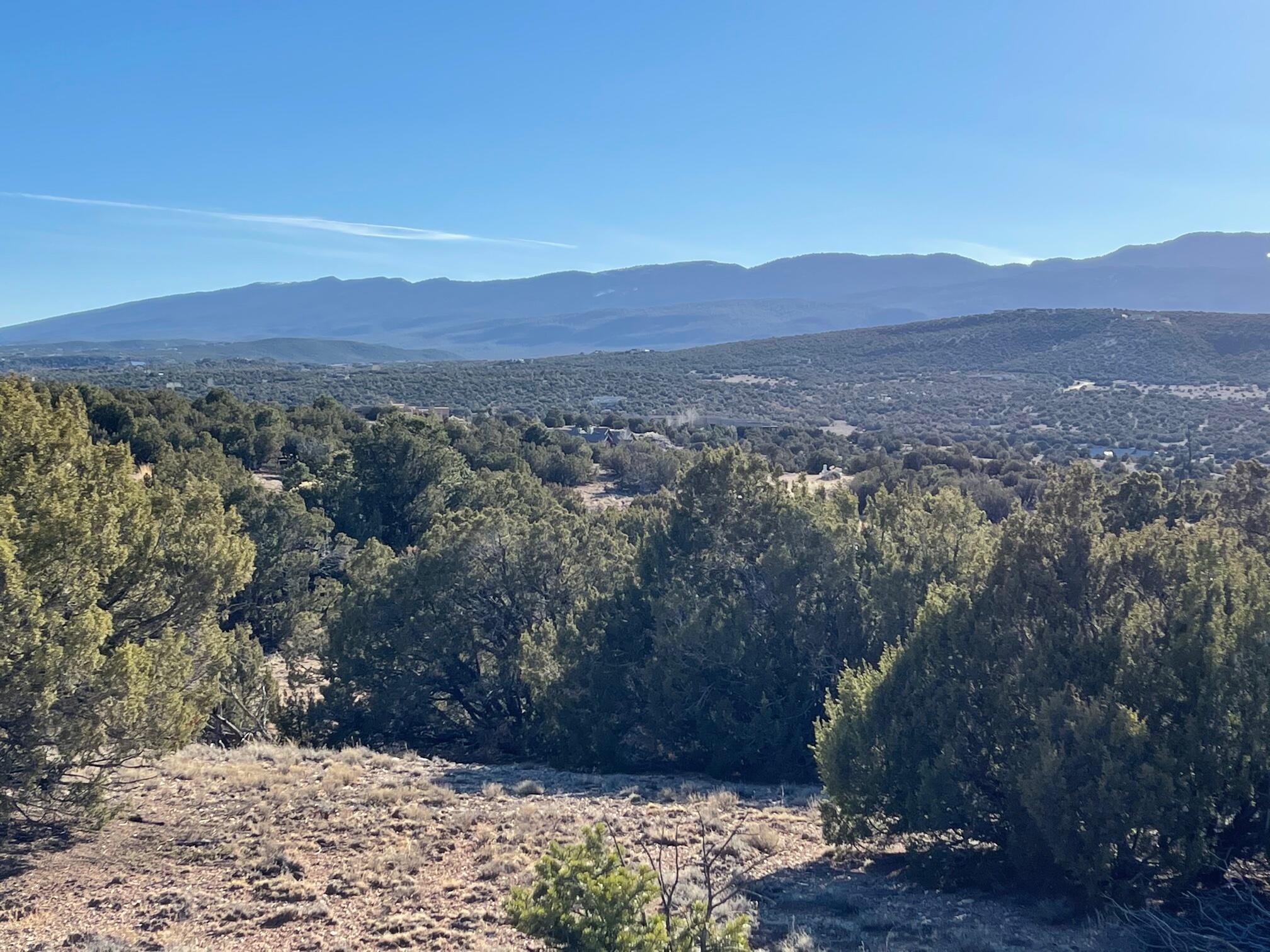 Photo 10 — 50 Turquoise Drive