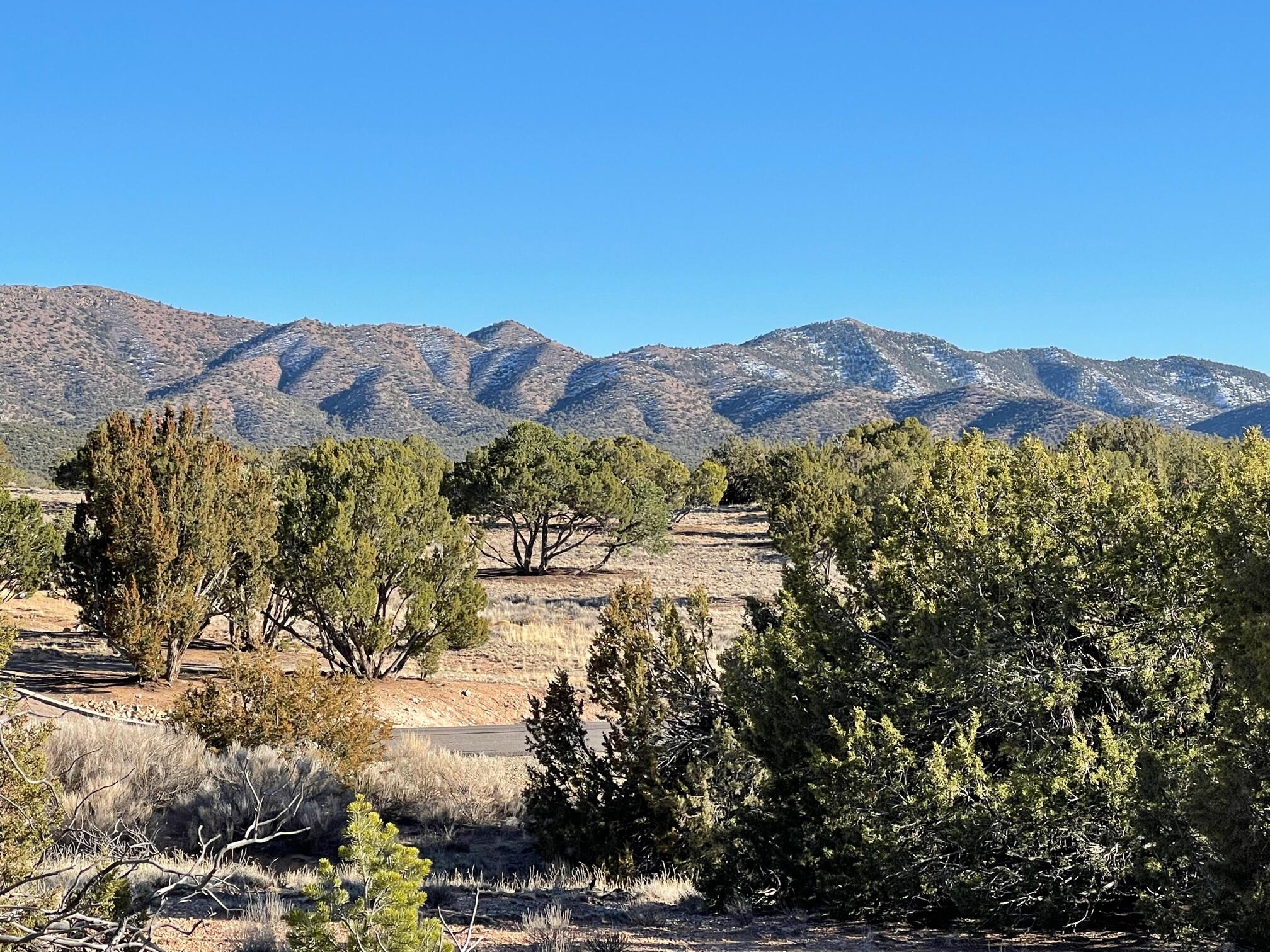 Photo 12 — 50 Turquoise Drive