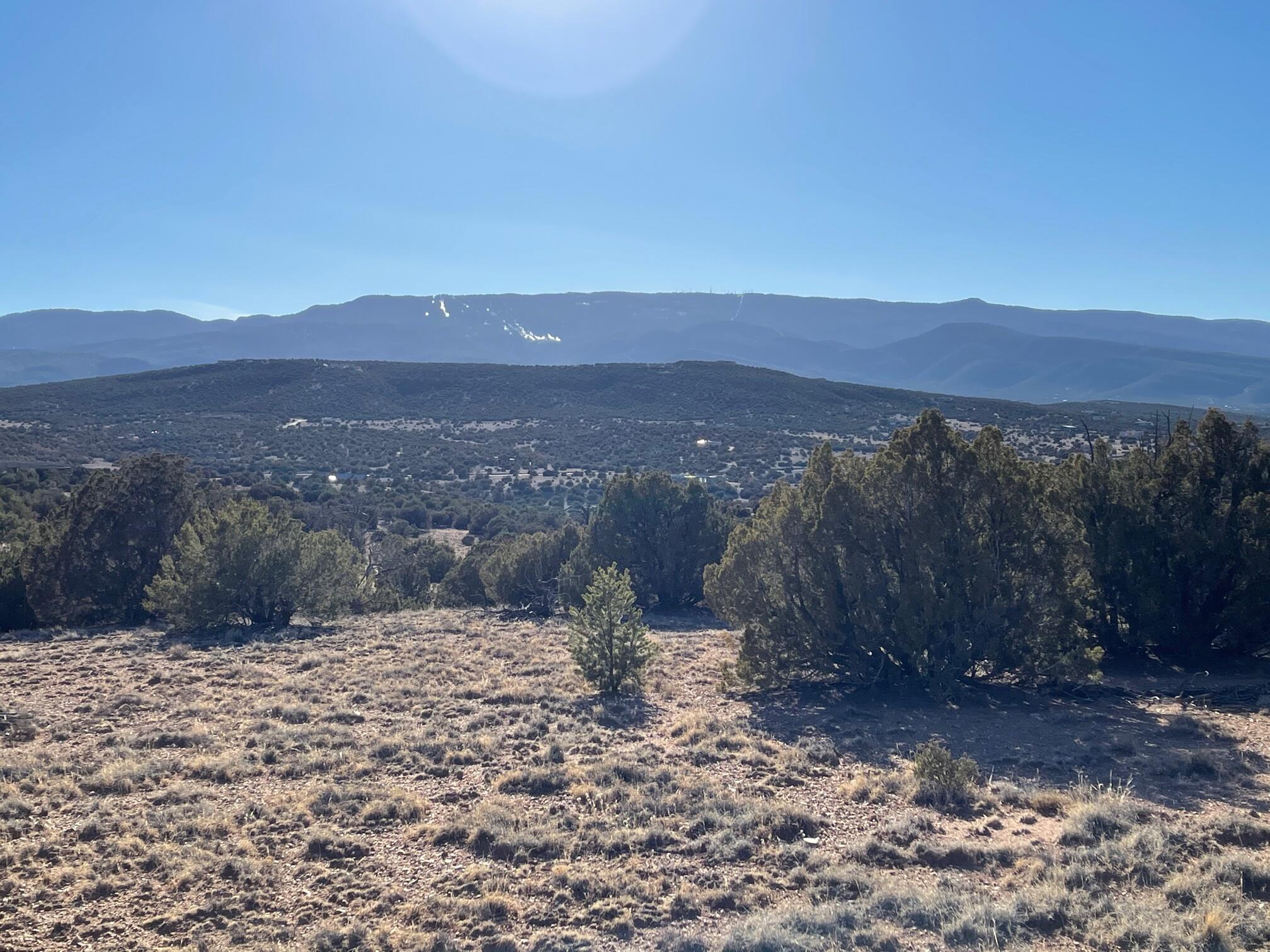 Photo 17 — 50 Turquoise Drive