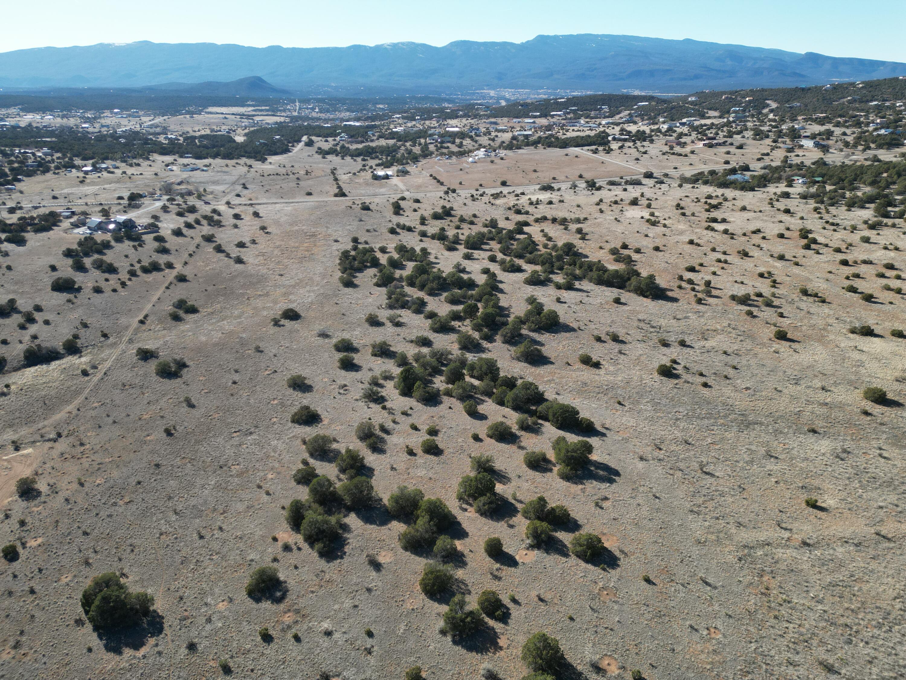 Photo 3 —  Tumbleweed E2SW4NW4 Road