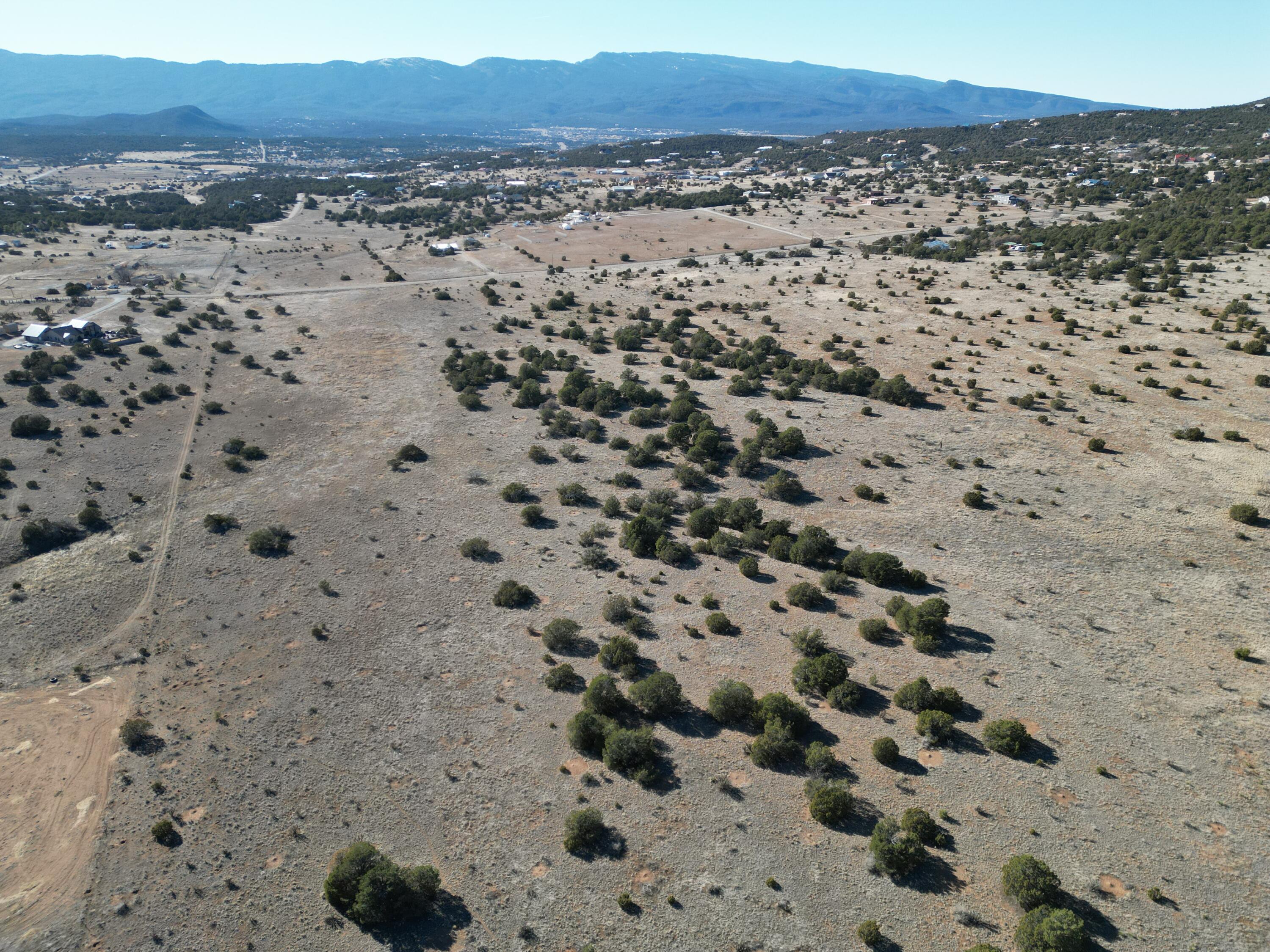 Photo 4 —  Tumbleweed E2SW4NW4 Road