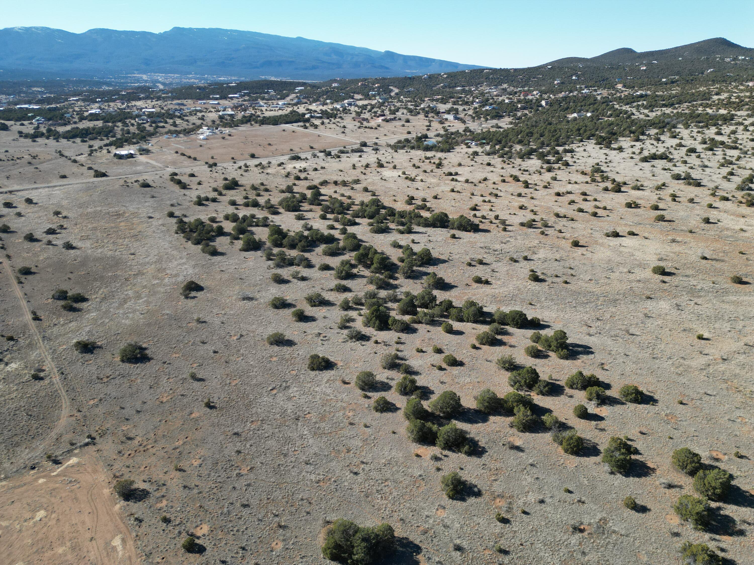Photo 5 —  Tumbleweed E2SW4NW4 Road