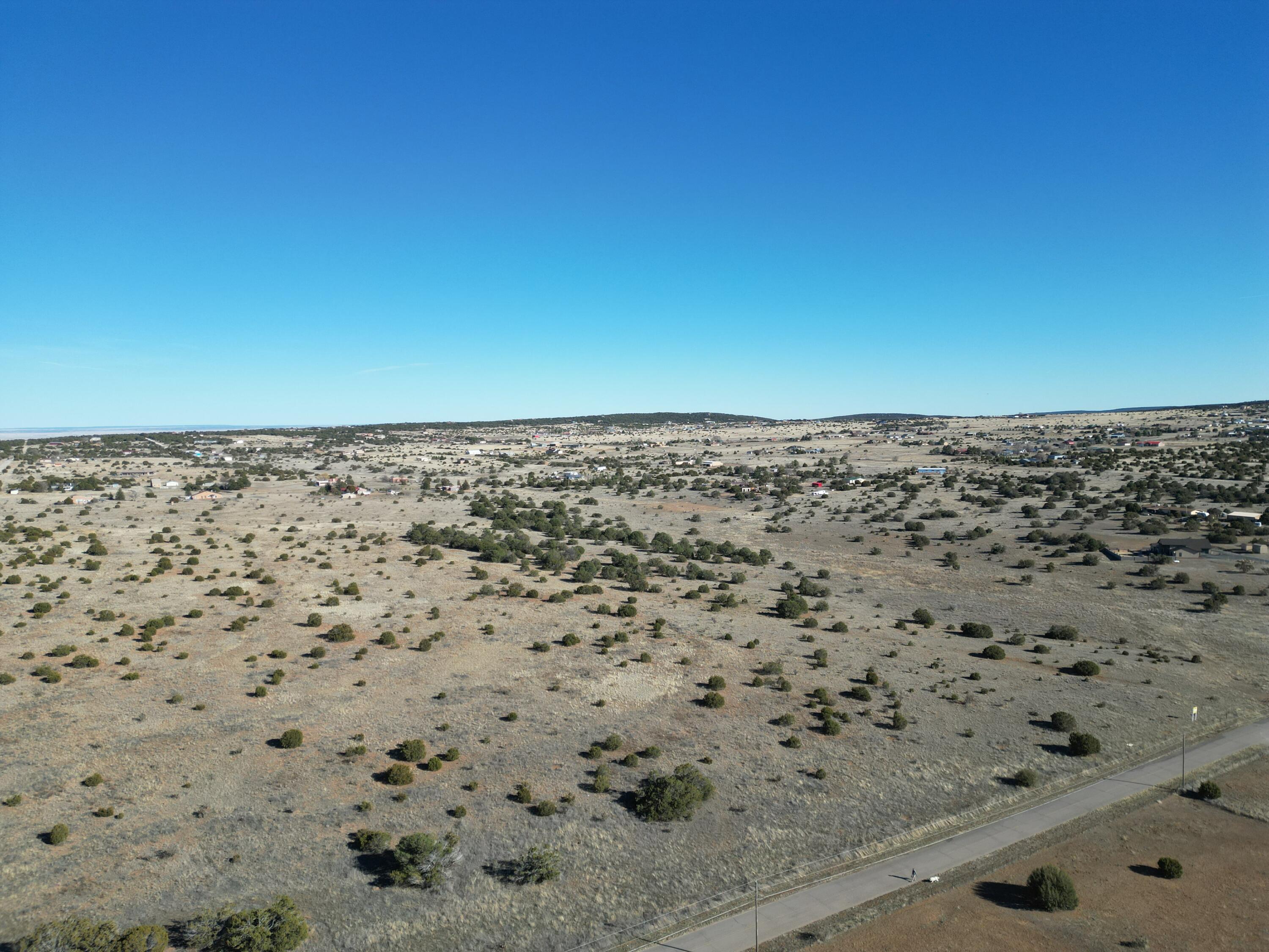 Photo 7 —  Tumbleweed E2SW4NW4 Road