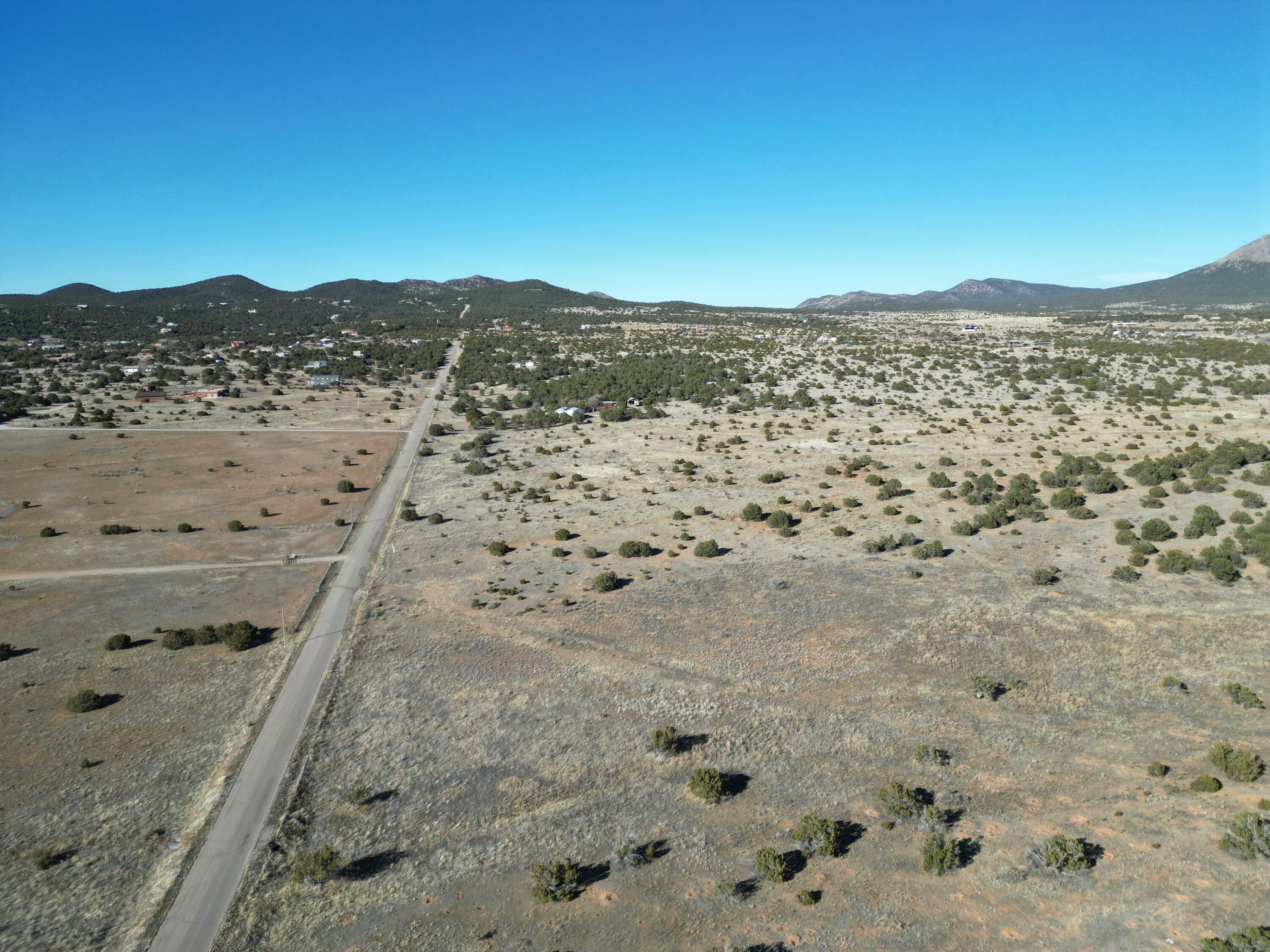 Photo 8 —  Tumbleweed E2SW4NW4 Road