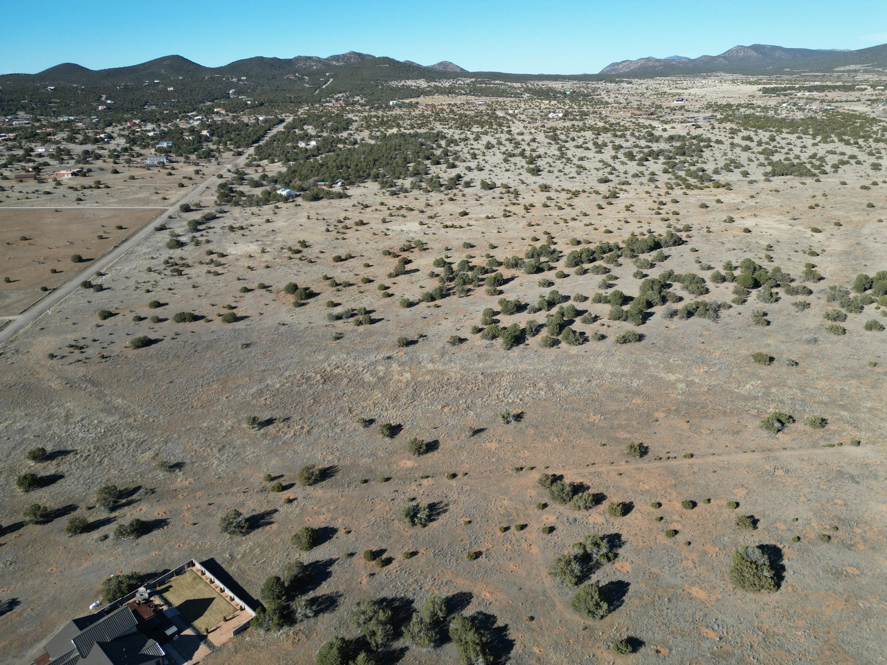 Photo 9 —  Tumbleweed E2SW4NW4 Road