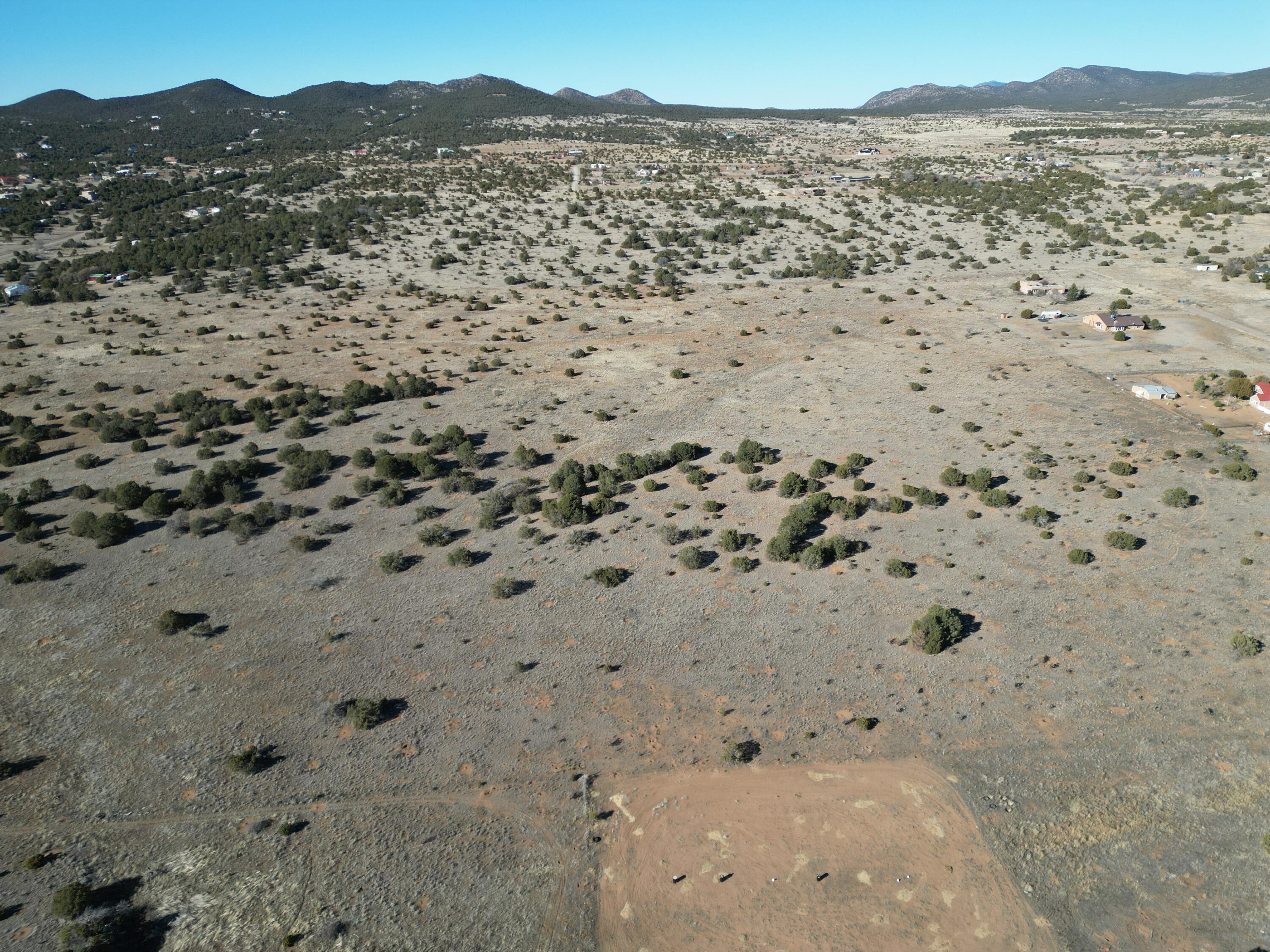 Photo 14 —  Tumbleweed E2SW4NW4 Road