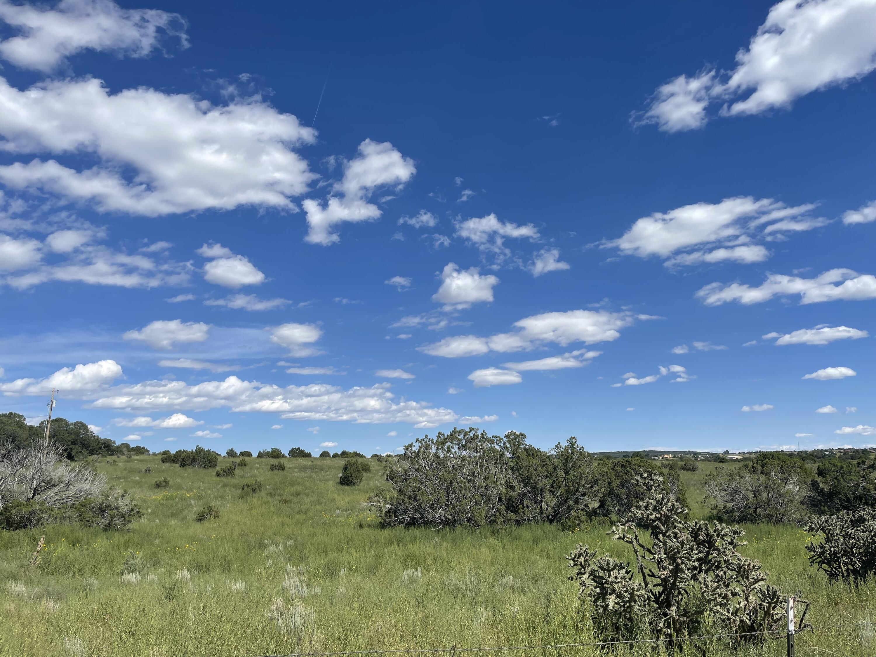 Photo 2 —  Tumbleweed E2SW4NW4 Road