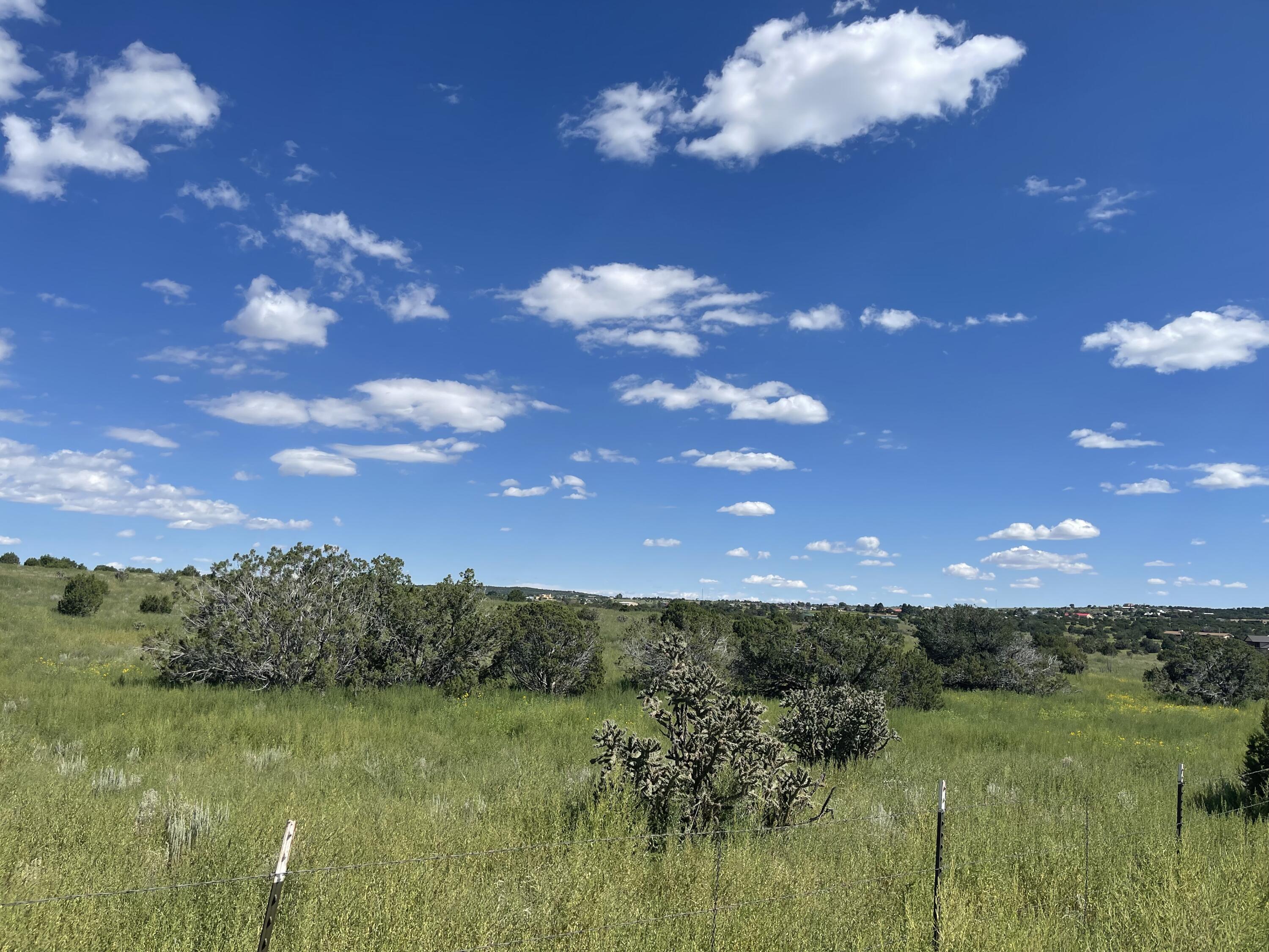 Photo 18 —  Frost & Tumbleweed W2NE4SW4