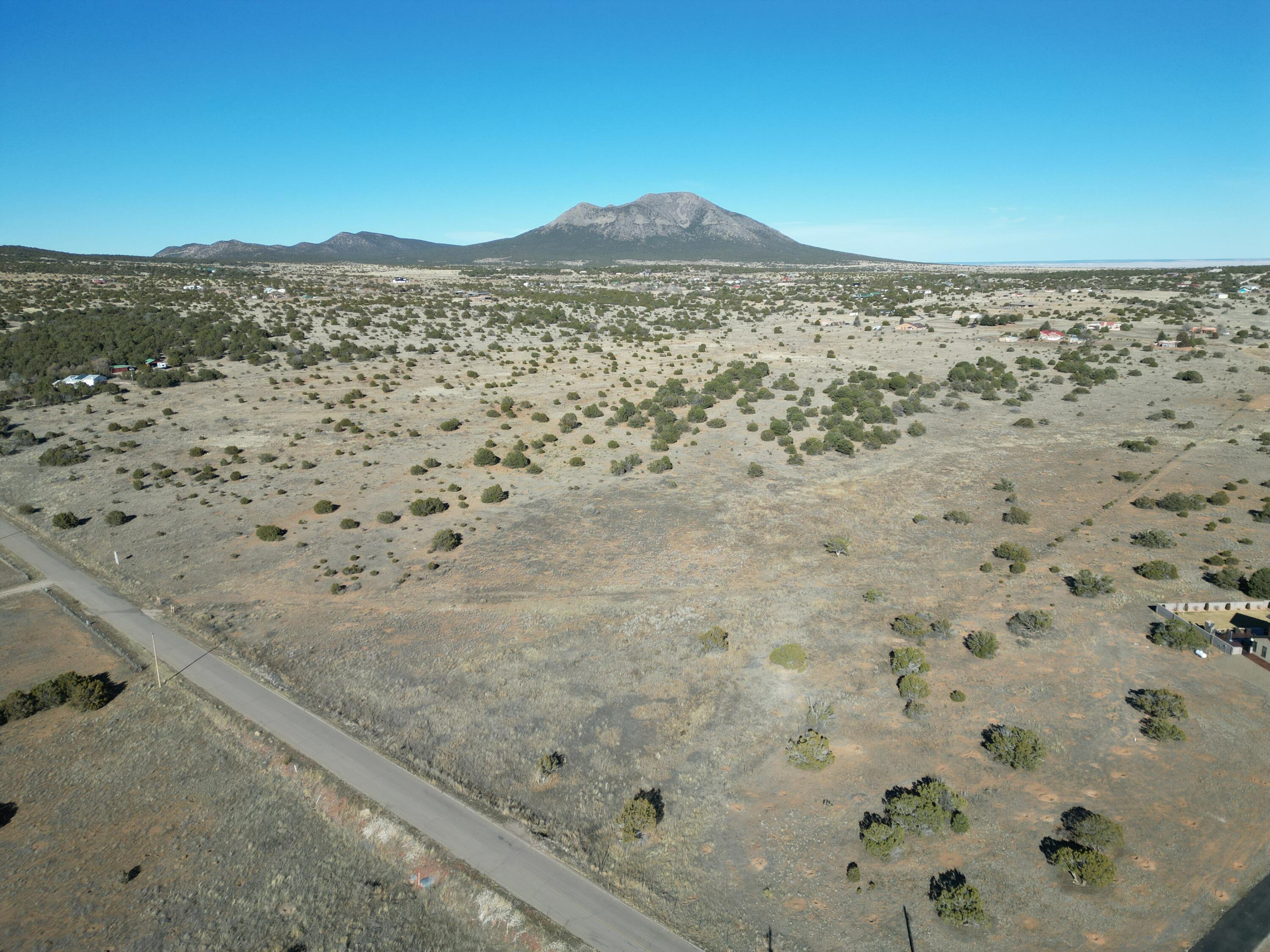 Photo 2 —  Frost & Tumbleweed W2SE4NW4