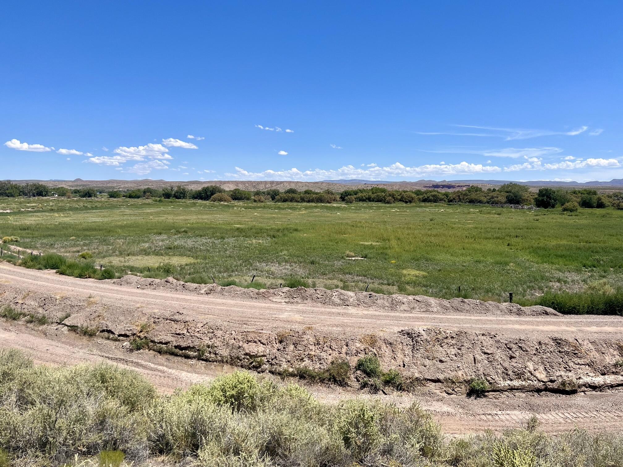 Photo 7 —  Lemitar Farm