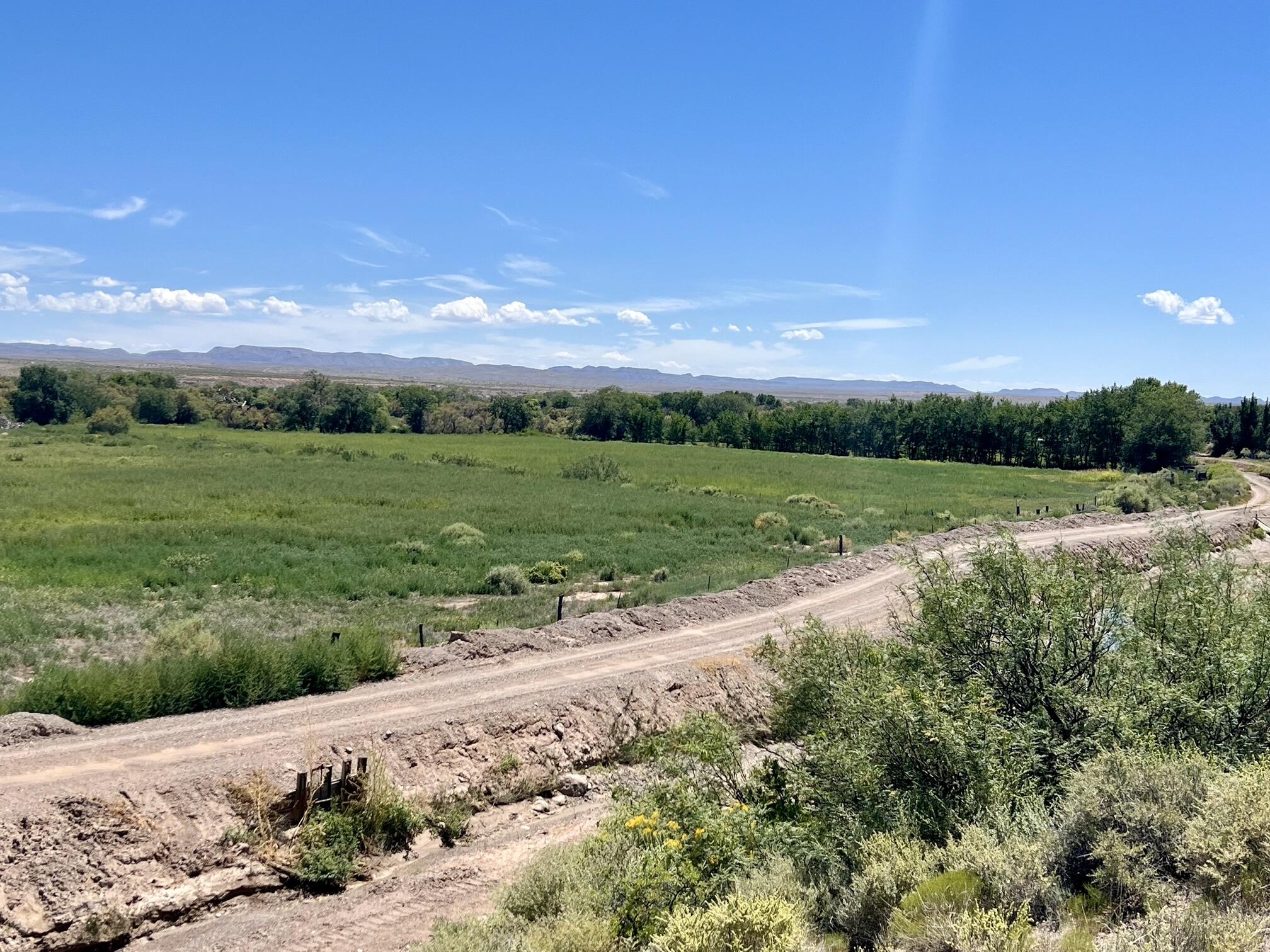 Photo 3 —  Lemitar Farm