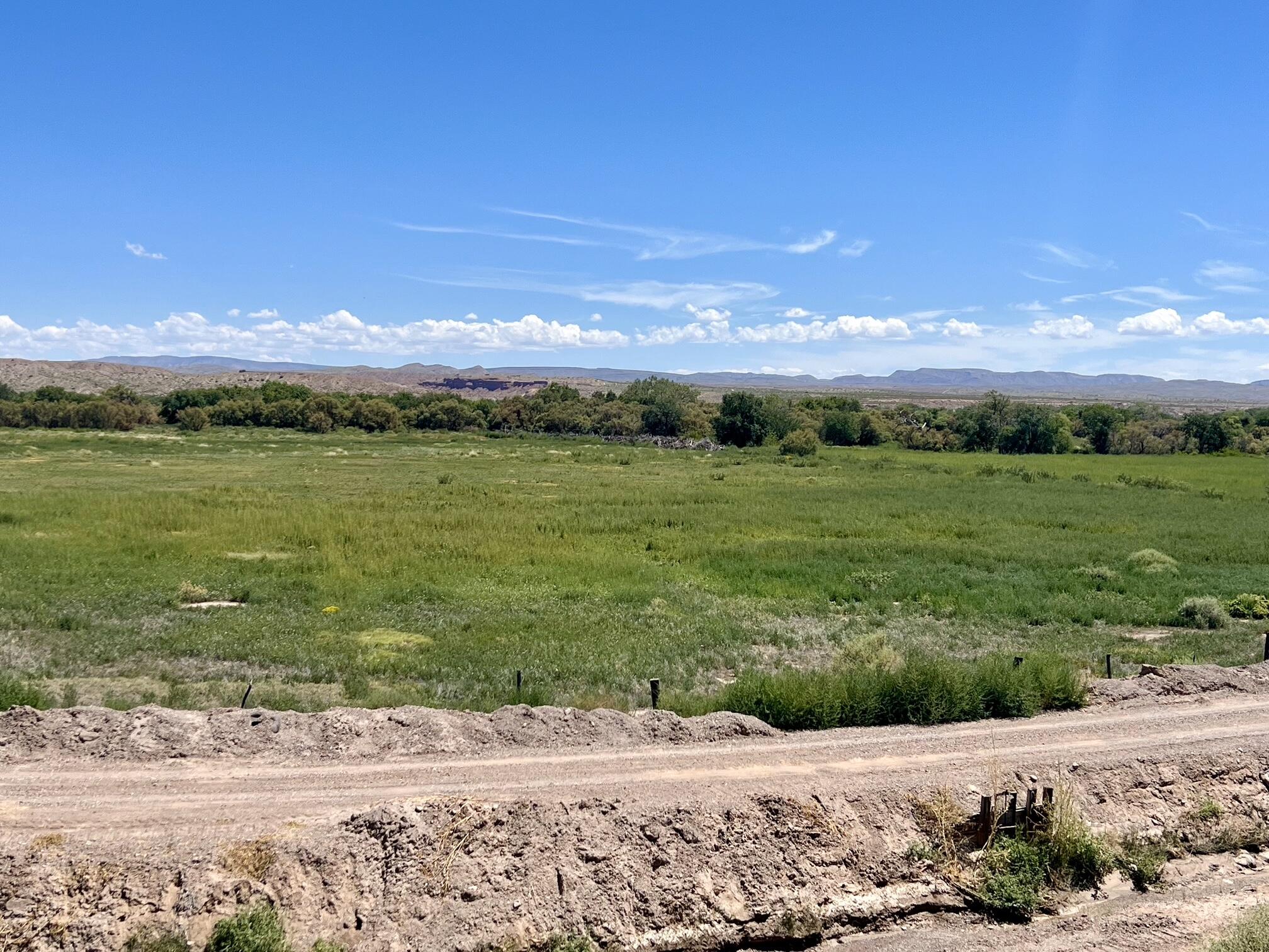Photo 4 —  Lemitar Farm