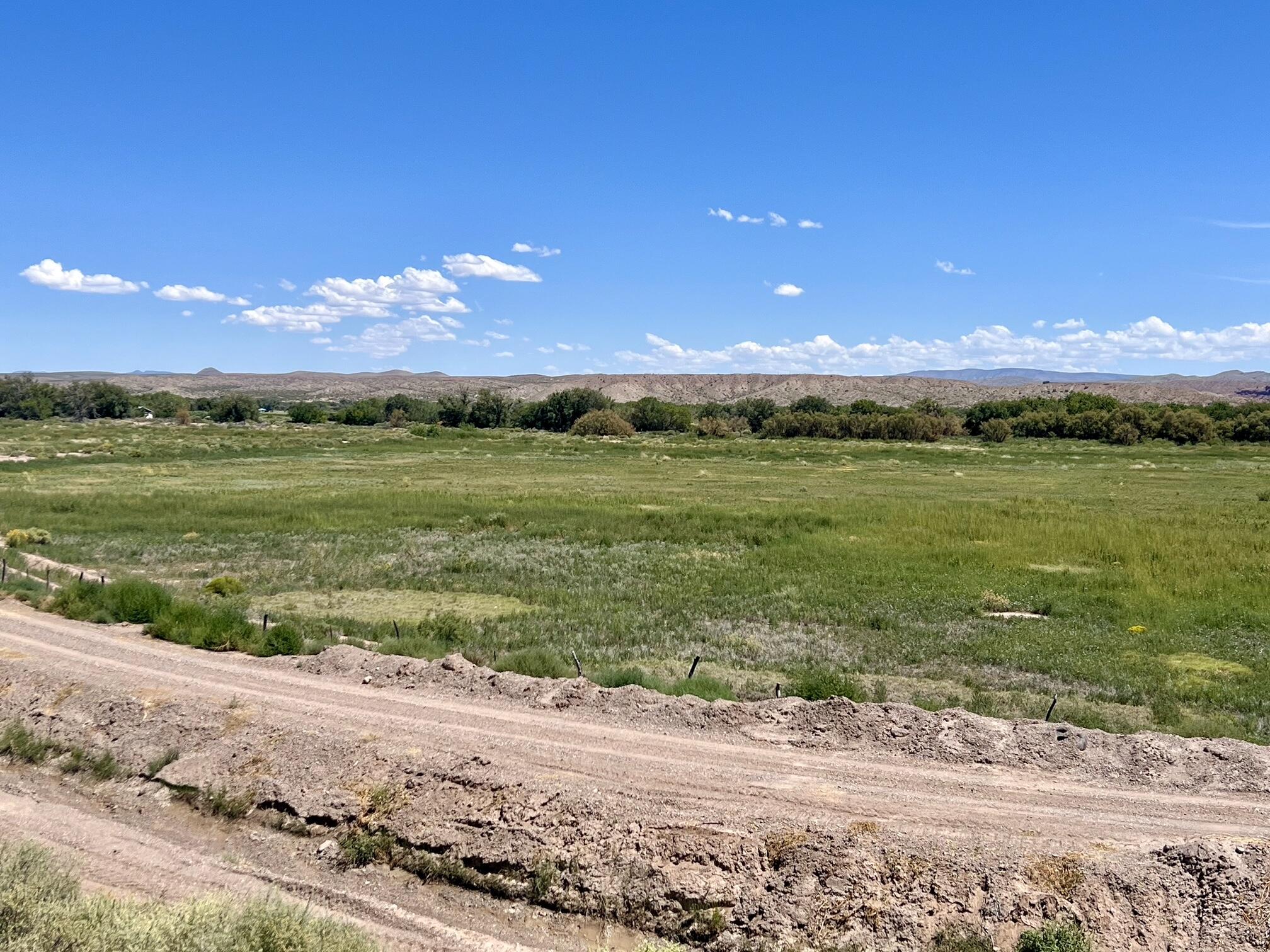 Photo 5 —  Lemitar Farm
