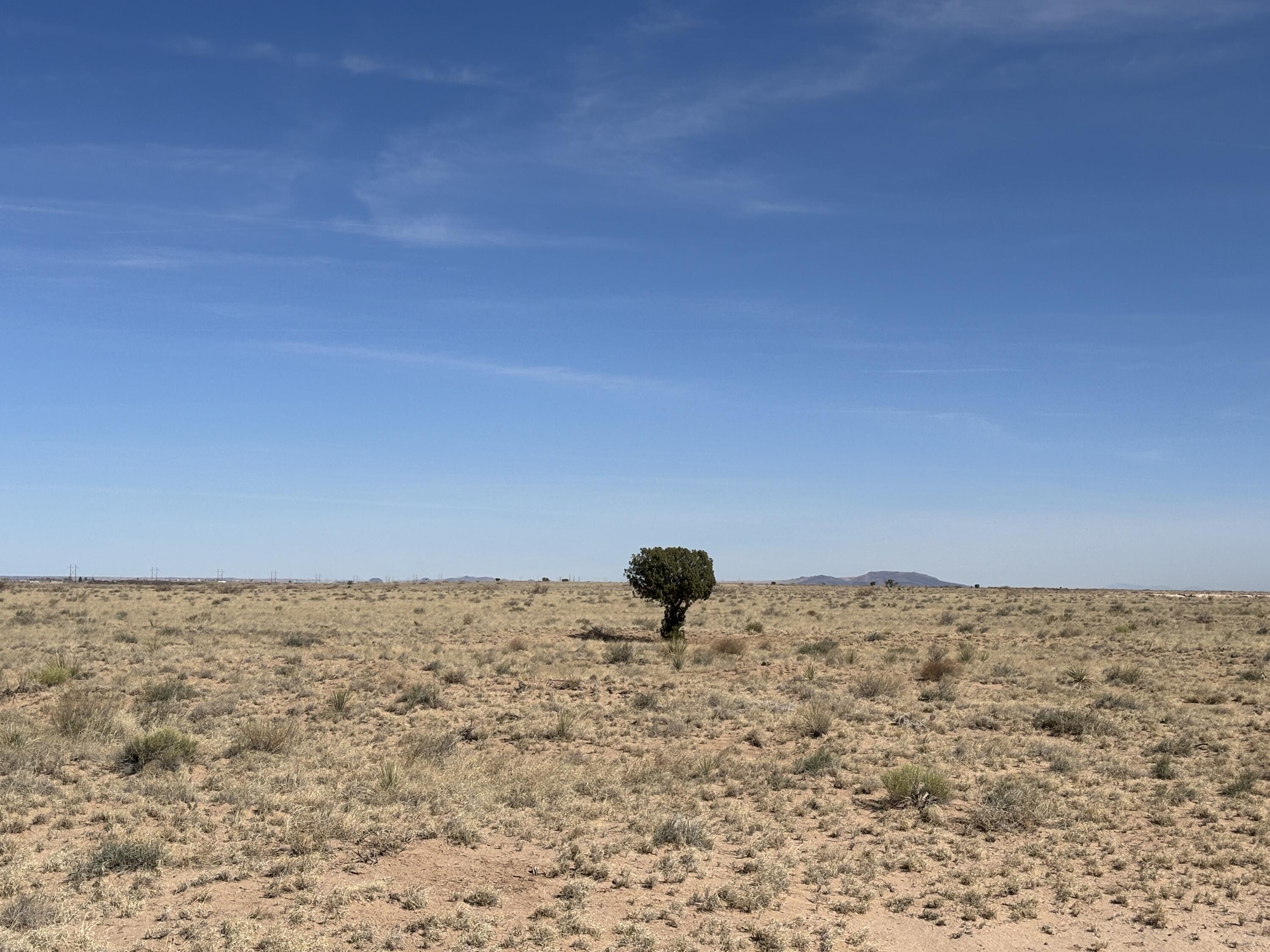 Photo 18 —  BOSQUE SANDHILL RANCH